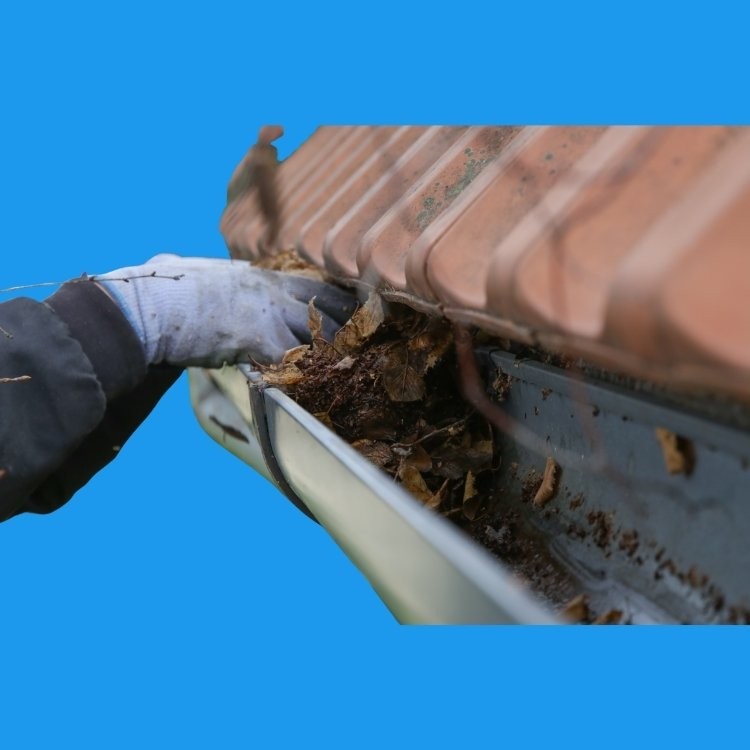 Dachreinigung in Osnabrück – CleanX Schwamm