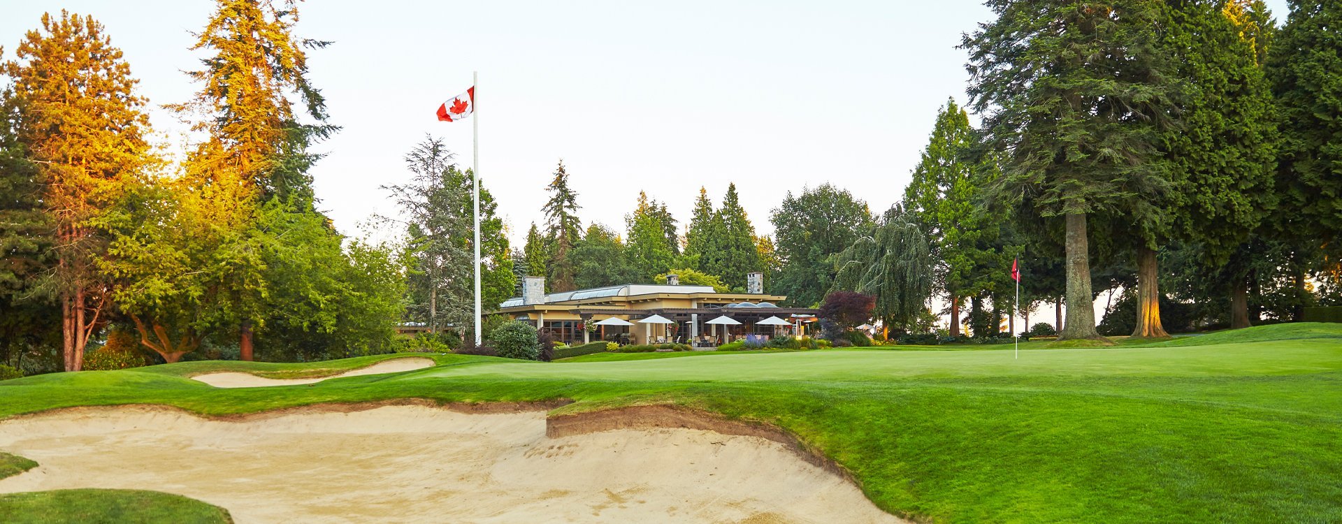 Framer's Advanced Animation: A Masterclass in Dynamic Designs