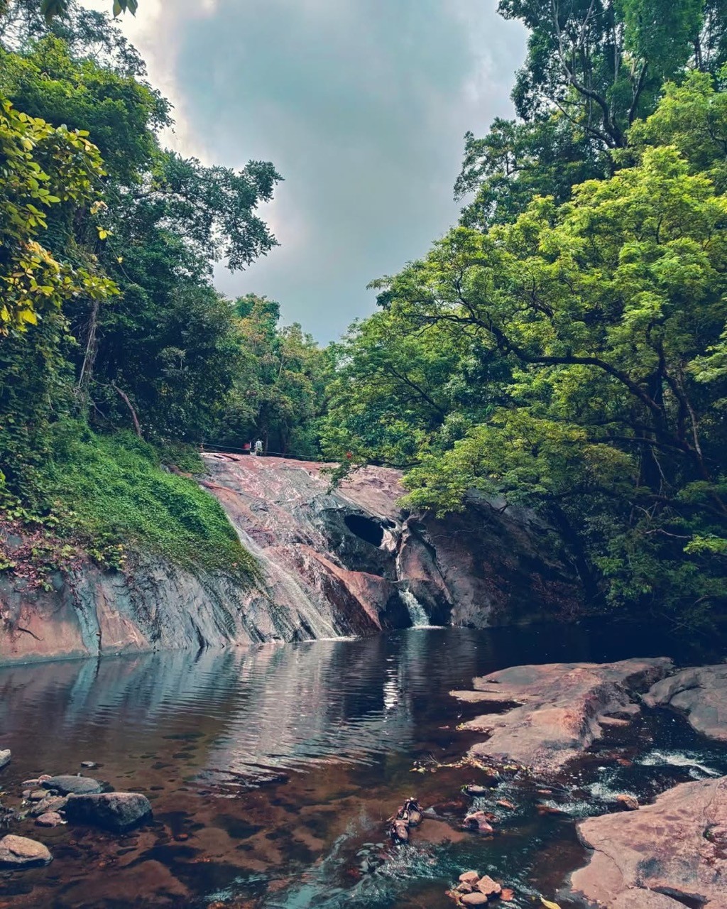 Dhoni Waterfalls, a serene natural attraction in Palakkad, Kerala, featuring cascading water over rocky terrain, surrounded by lush green forests and a tranquil pool.