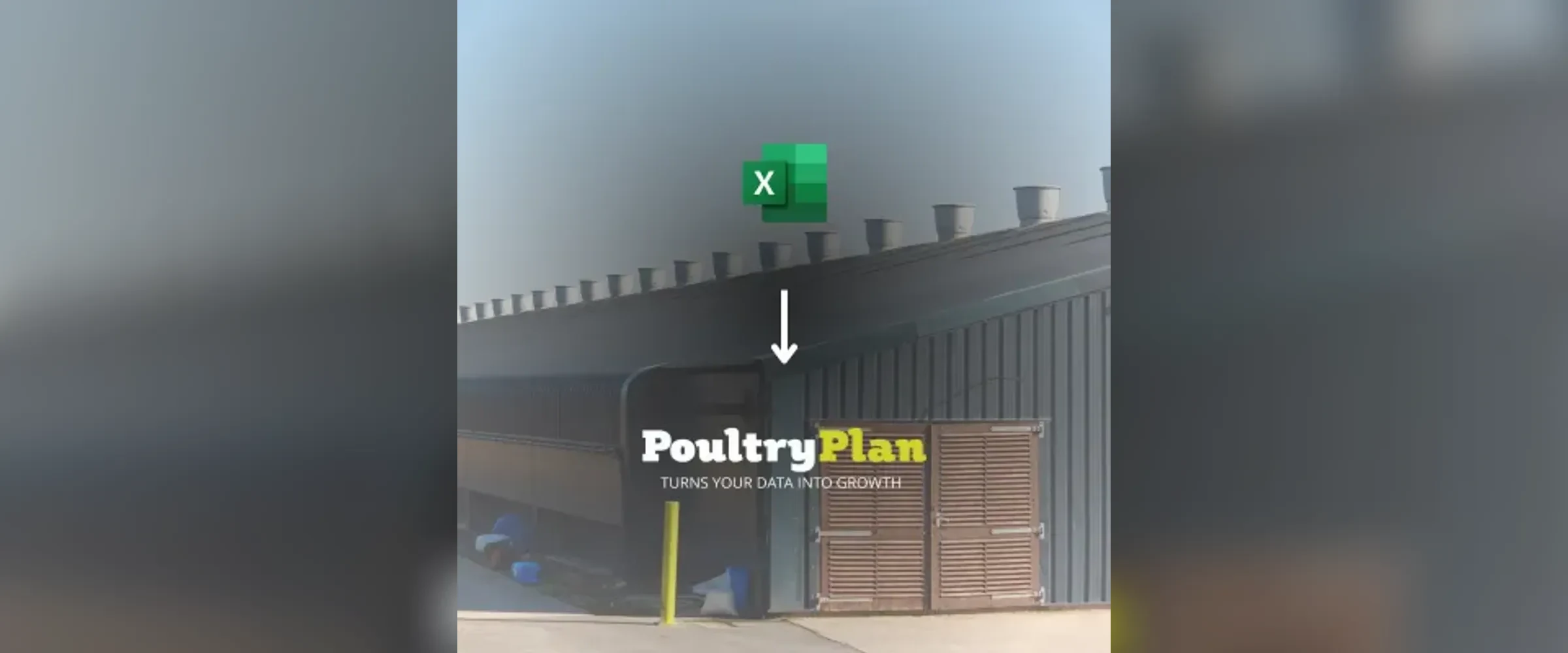 Warum „ PoultryPlan “ Excel bei der Verwaltung von Geflügelbetrieben übertrifft
