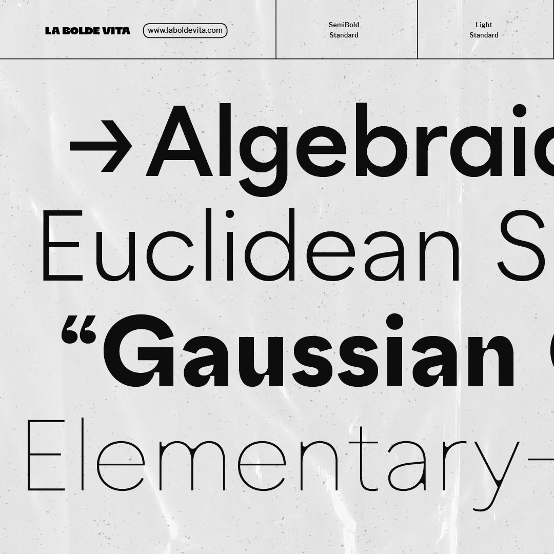 zoomed in specimen detail of various weights and sample words from Zimula in black on grey