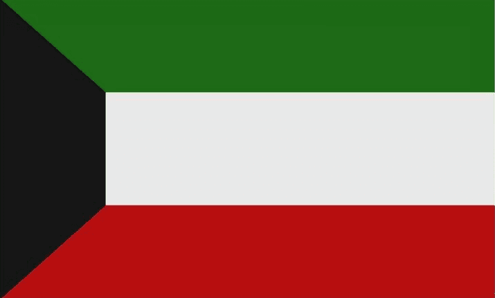 UAE flag