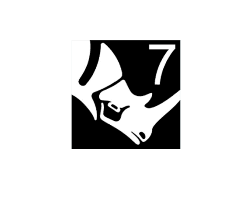 Rhino 7