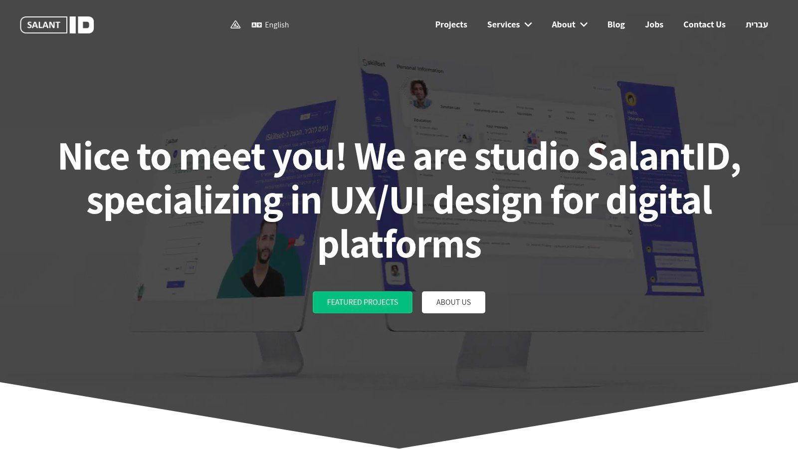 Salant ID Studio (UX/UI for Complex Systems)