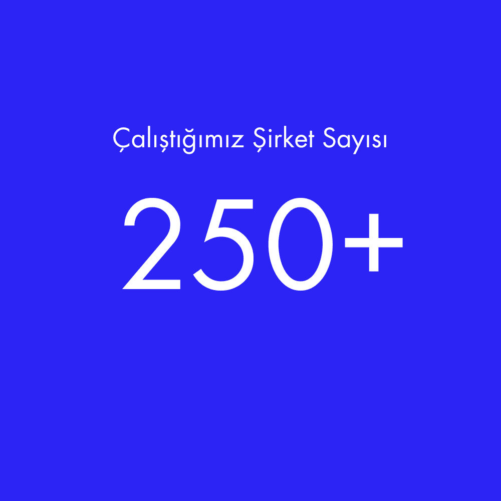 Aktif olarak çalıştığımız şirket sayısı 250 den fazladır