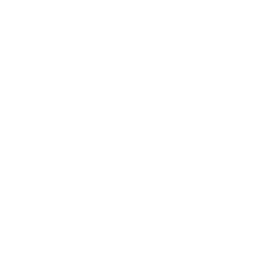 Zahnrad Icon für Systemintegration als Vorteil vonm Voxano Voice Agent