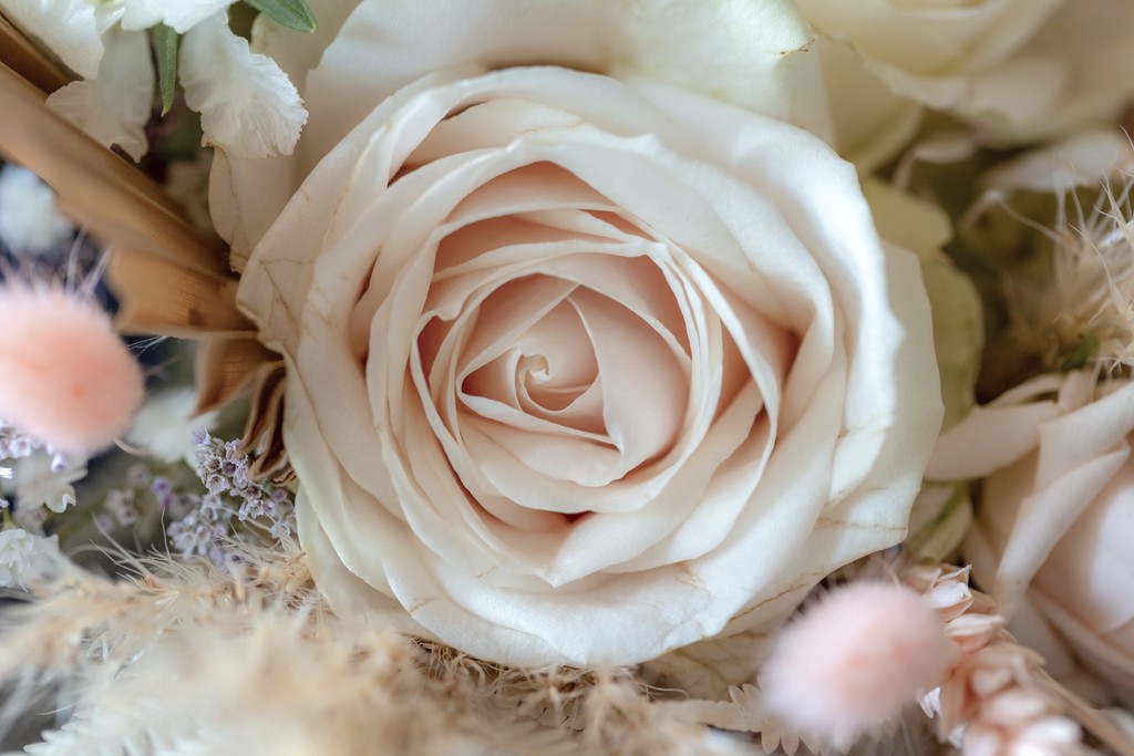 Album photo de luxe — French wedding photographer Paris — luxury wedding book France — Maison Elion — relique photographique rare — fragment intemporel — rituel artistique — photographe mariage haut de gamme — Seine-et-Marne 77 — album mariage bespoke sur mesure — timeless photography France — image symbolique — luxury French wedding photography