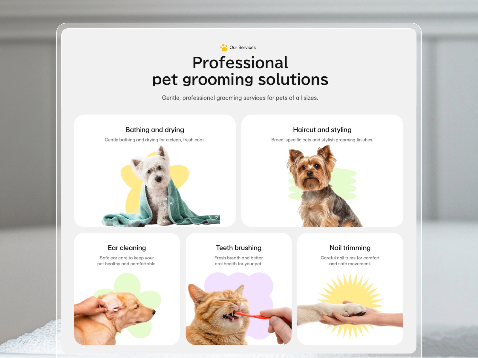 GroomLab