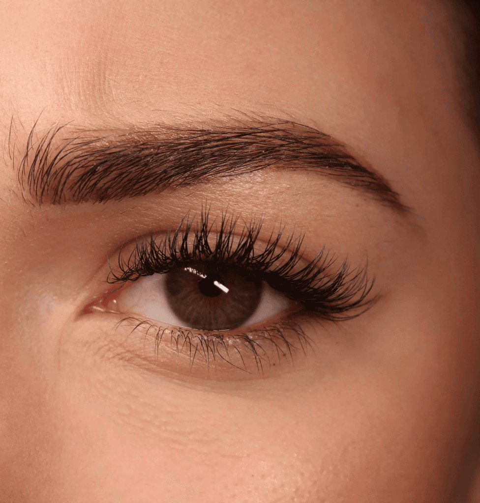 ACE Studio Eyelashes