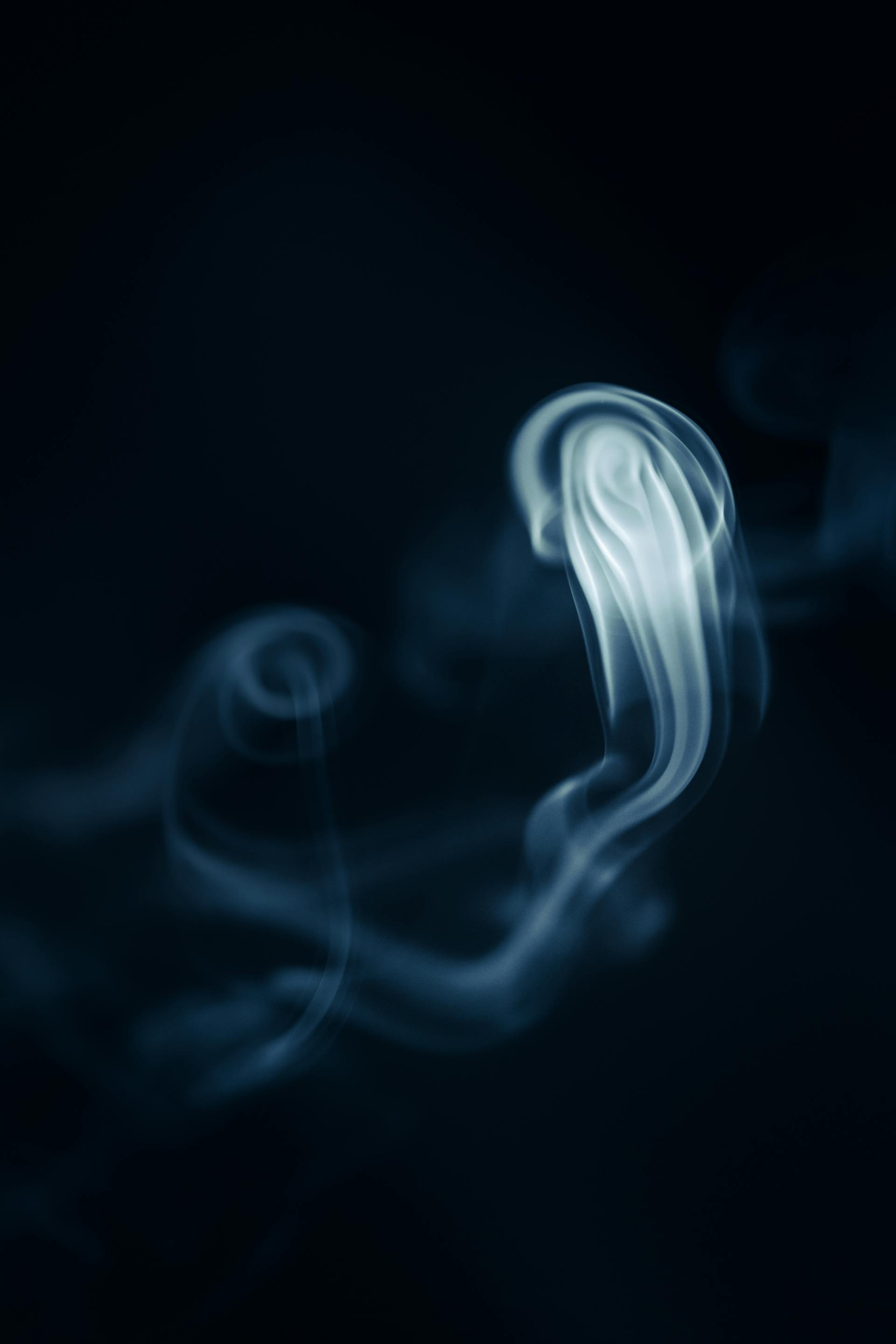 An abstract visual of moving waves in a dark enviroment