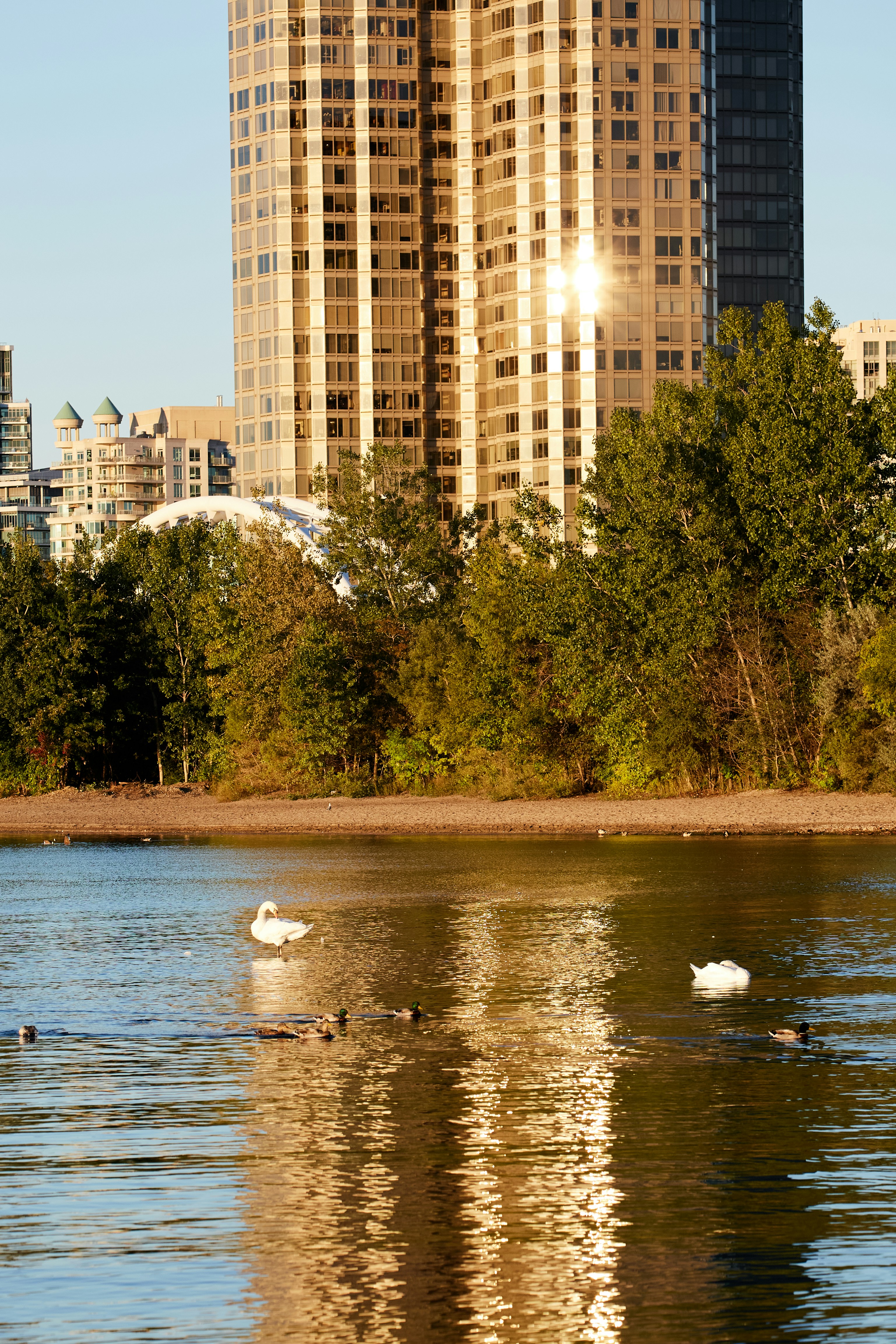 a body of water surrounded by tall buildings