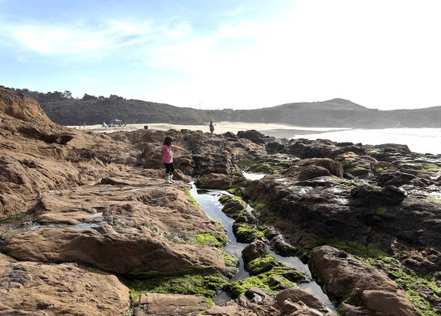 Dana Wu's picture, link to profile