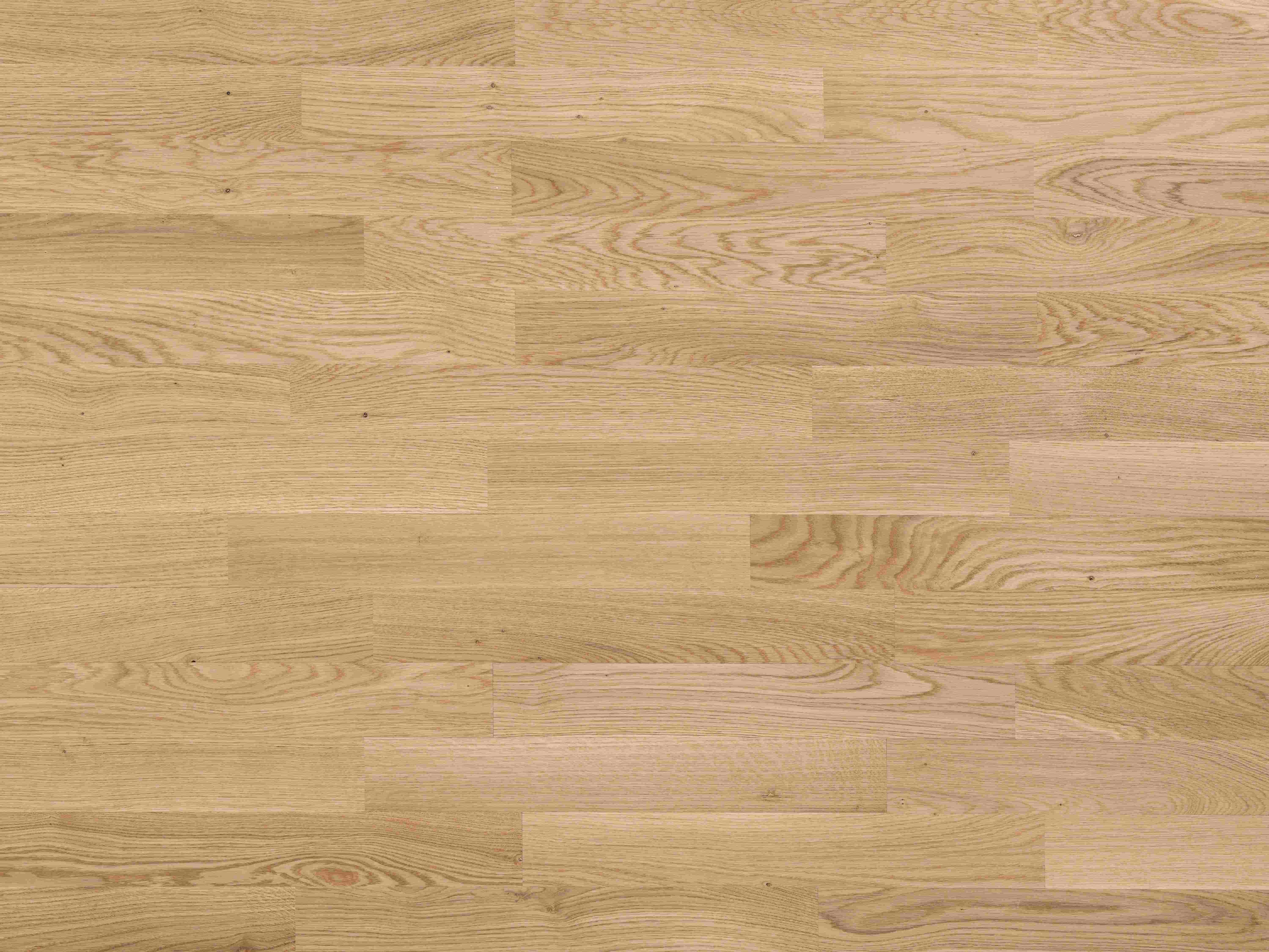 EICHE NATUR - EINZELSTAB