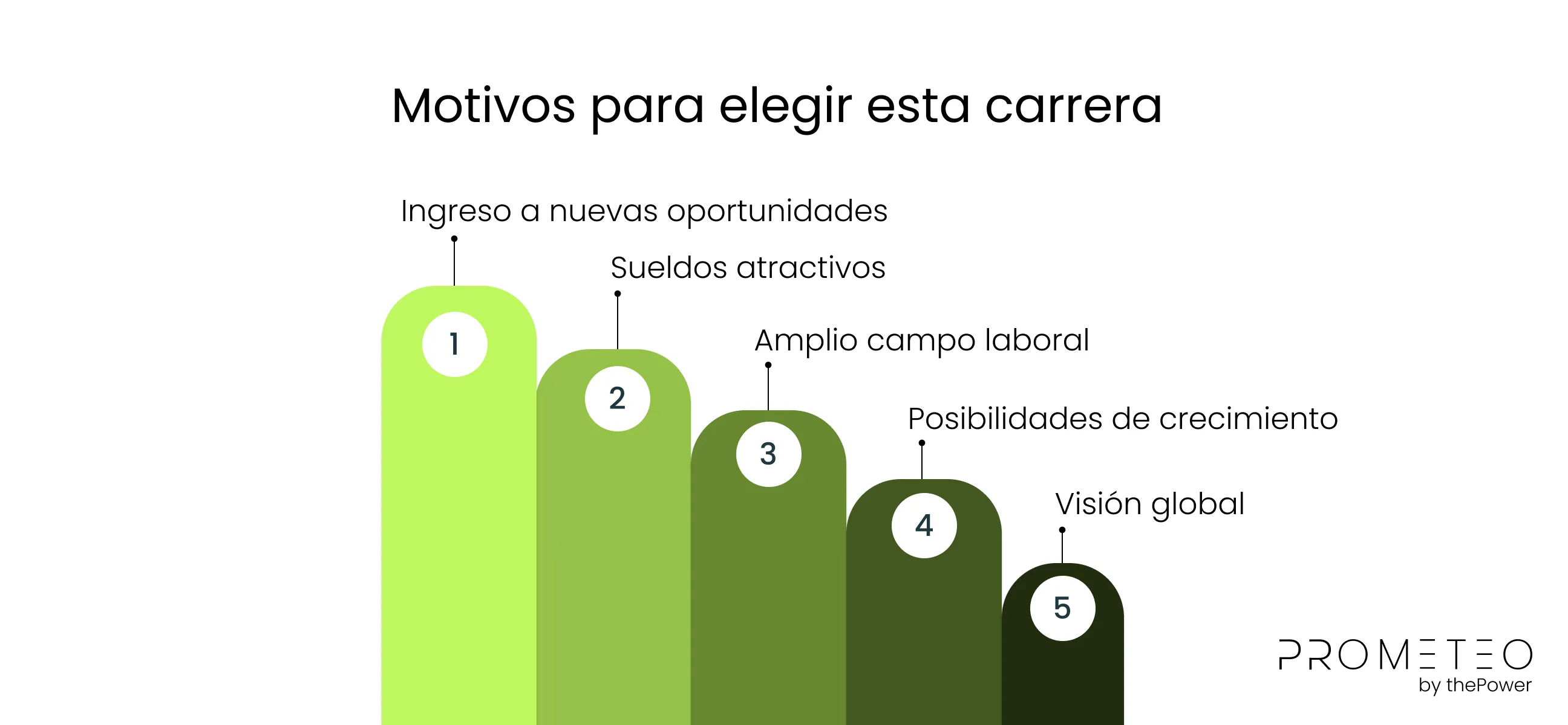 Motivos para elegir esta carrera Supply Chain en Prometeo