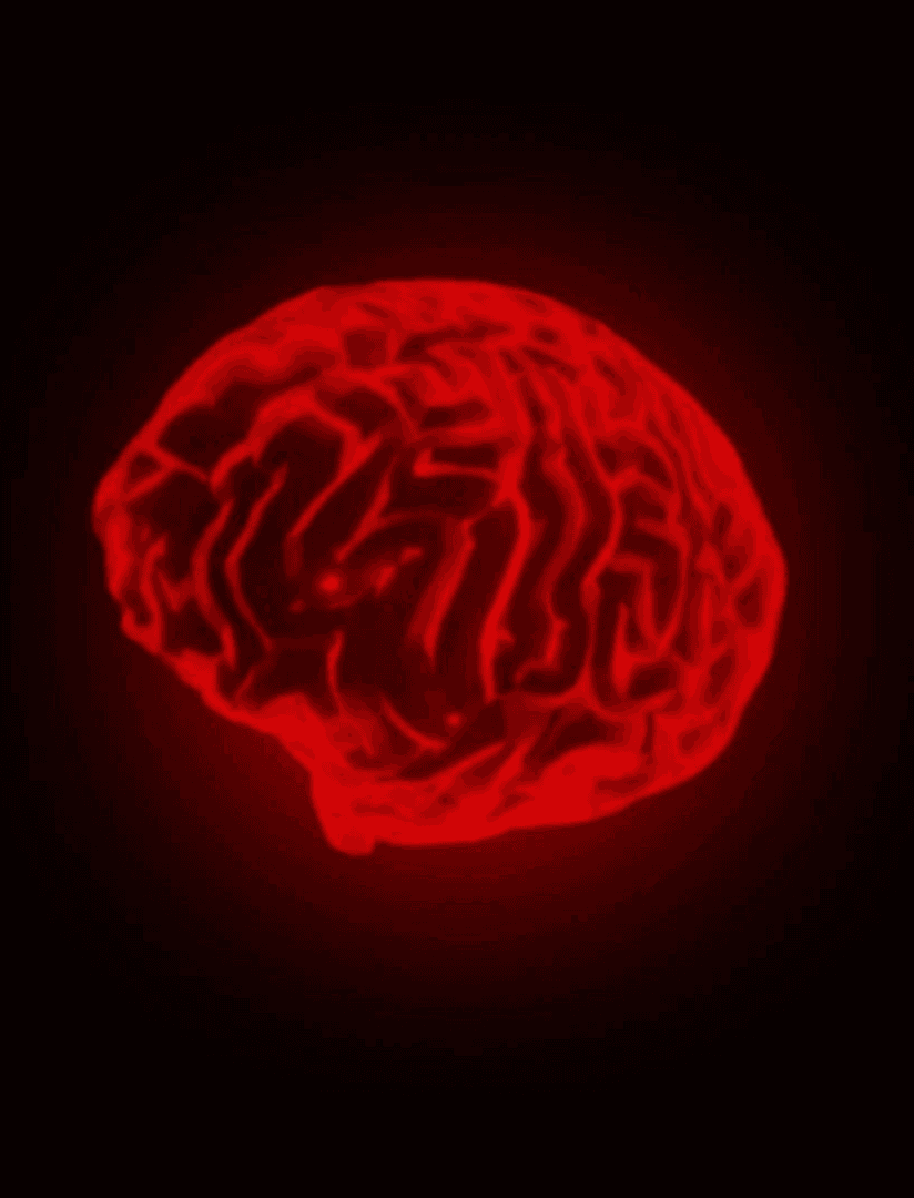 I’m Ethan, a Framer Designer and Developer based in Tokyo.  