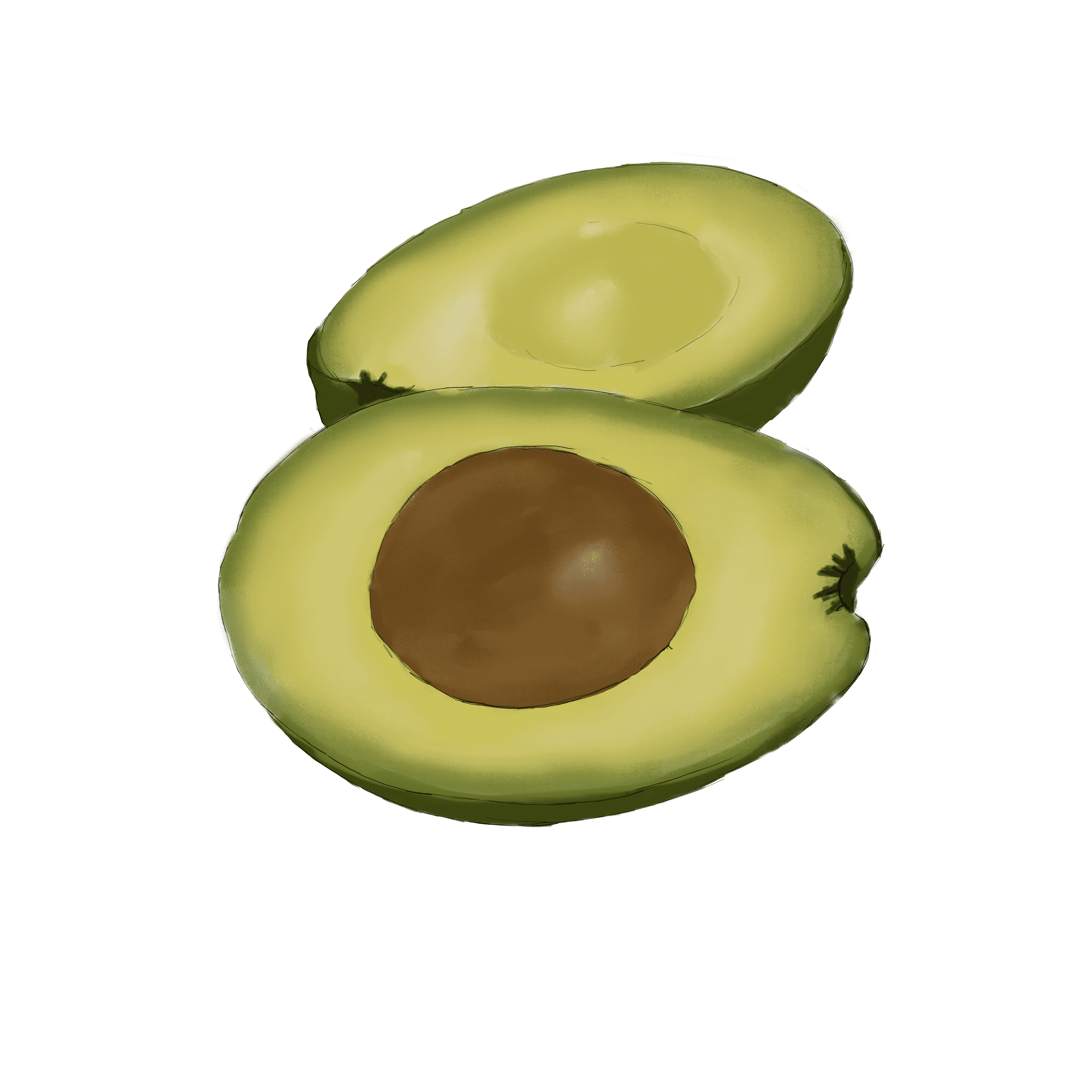 Avocado