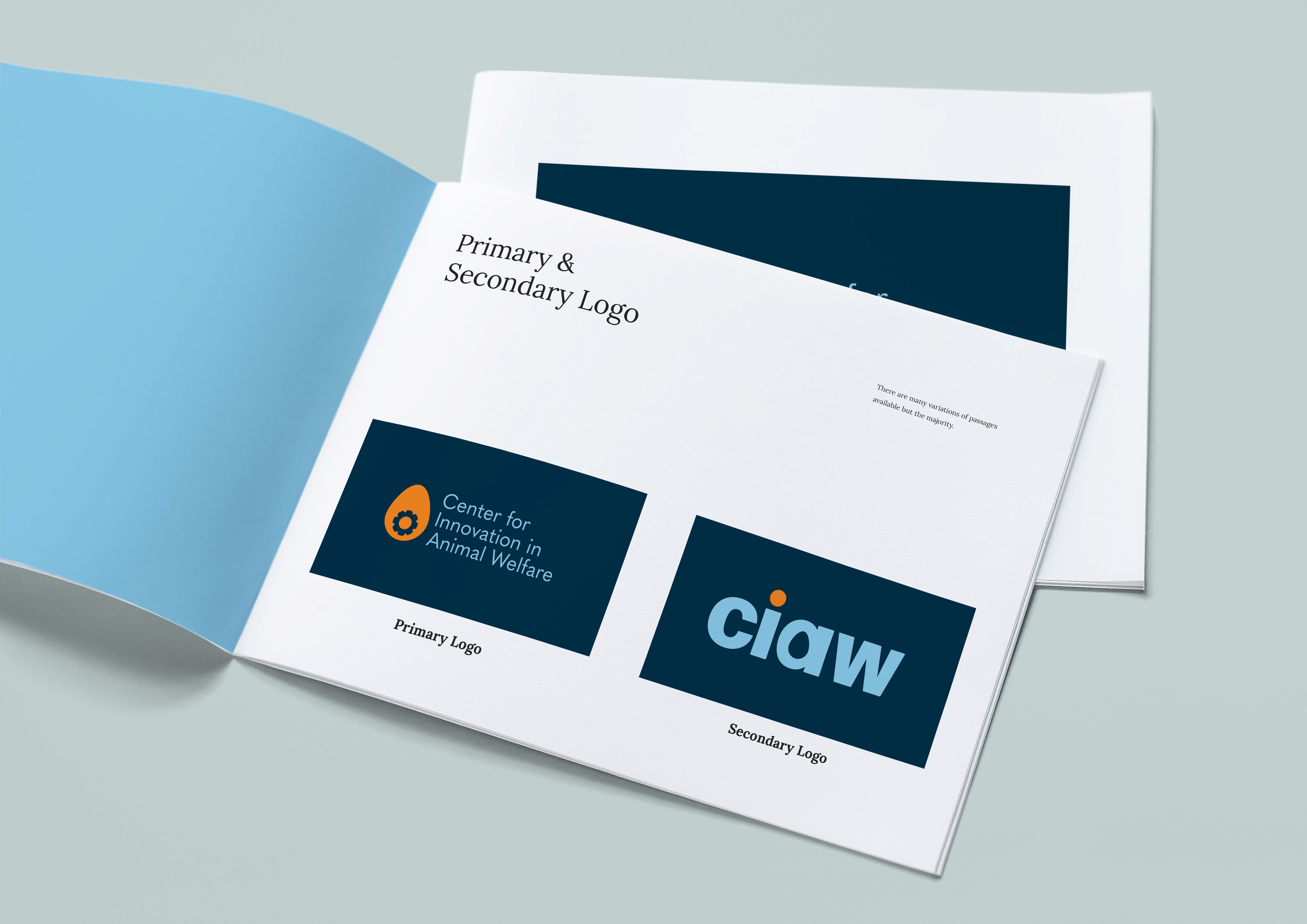 booklet with logo styles