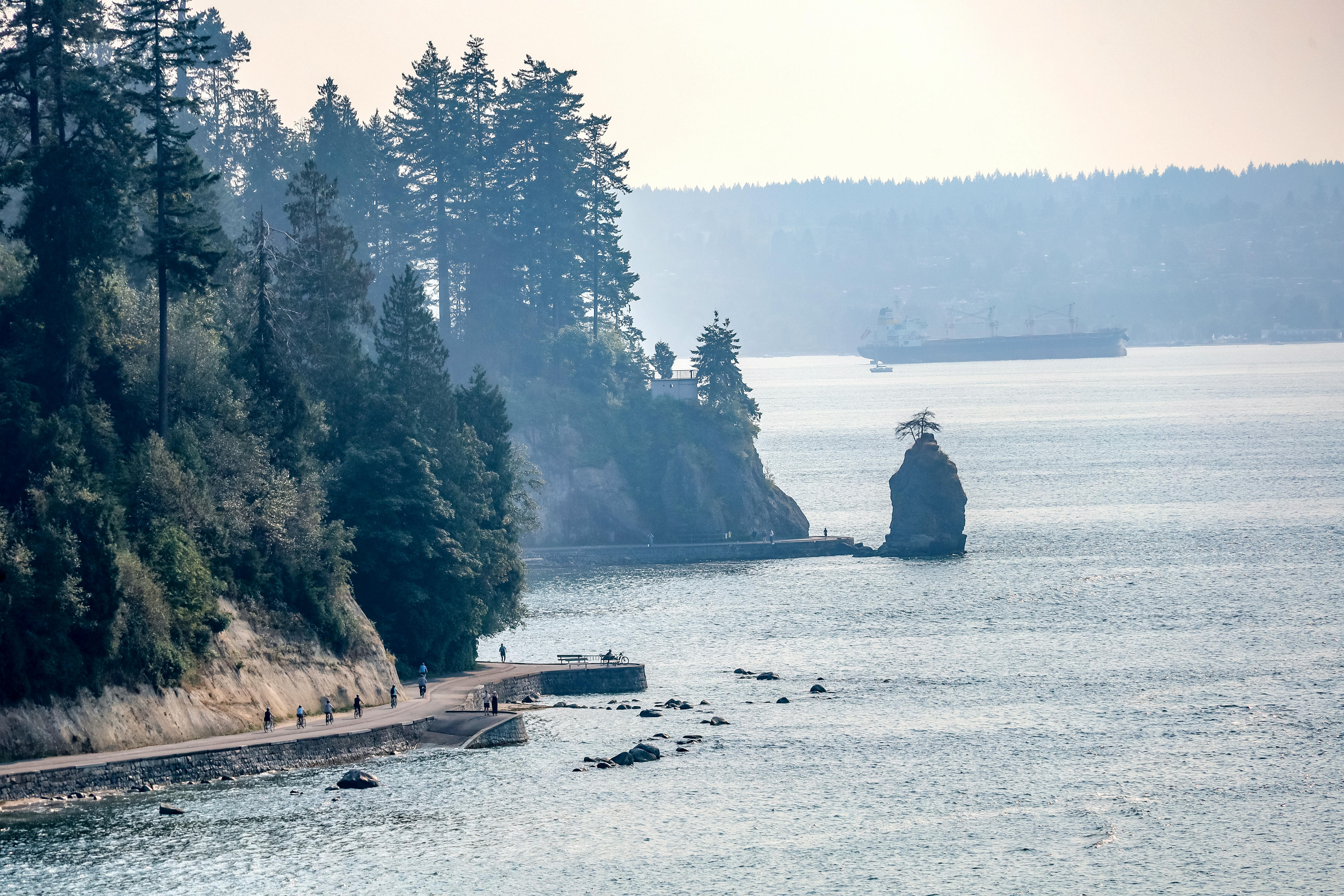 A view from Stanley Park and the seawall