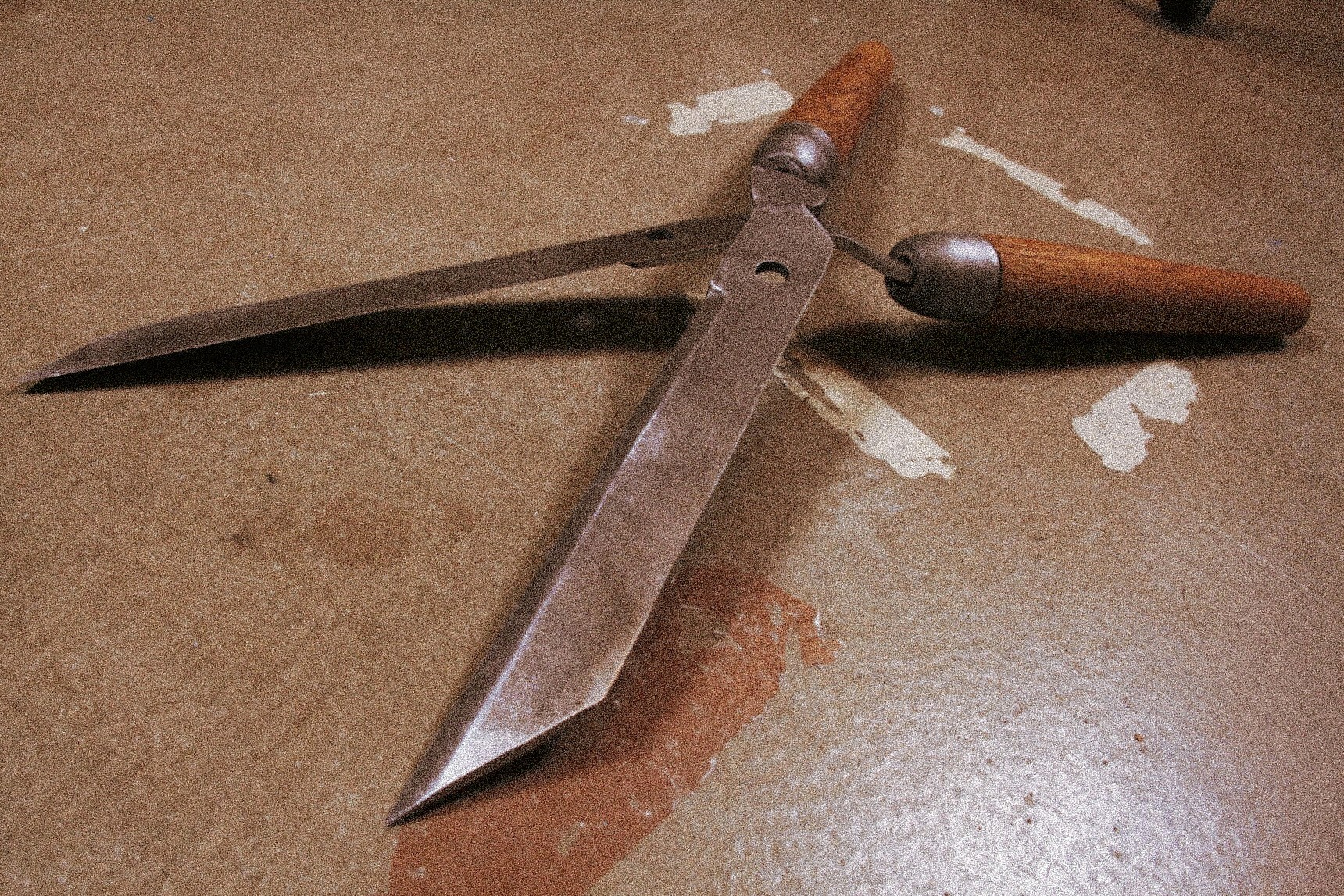 portrait photography