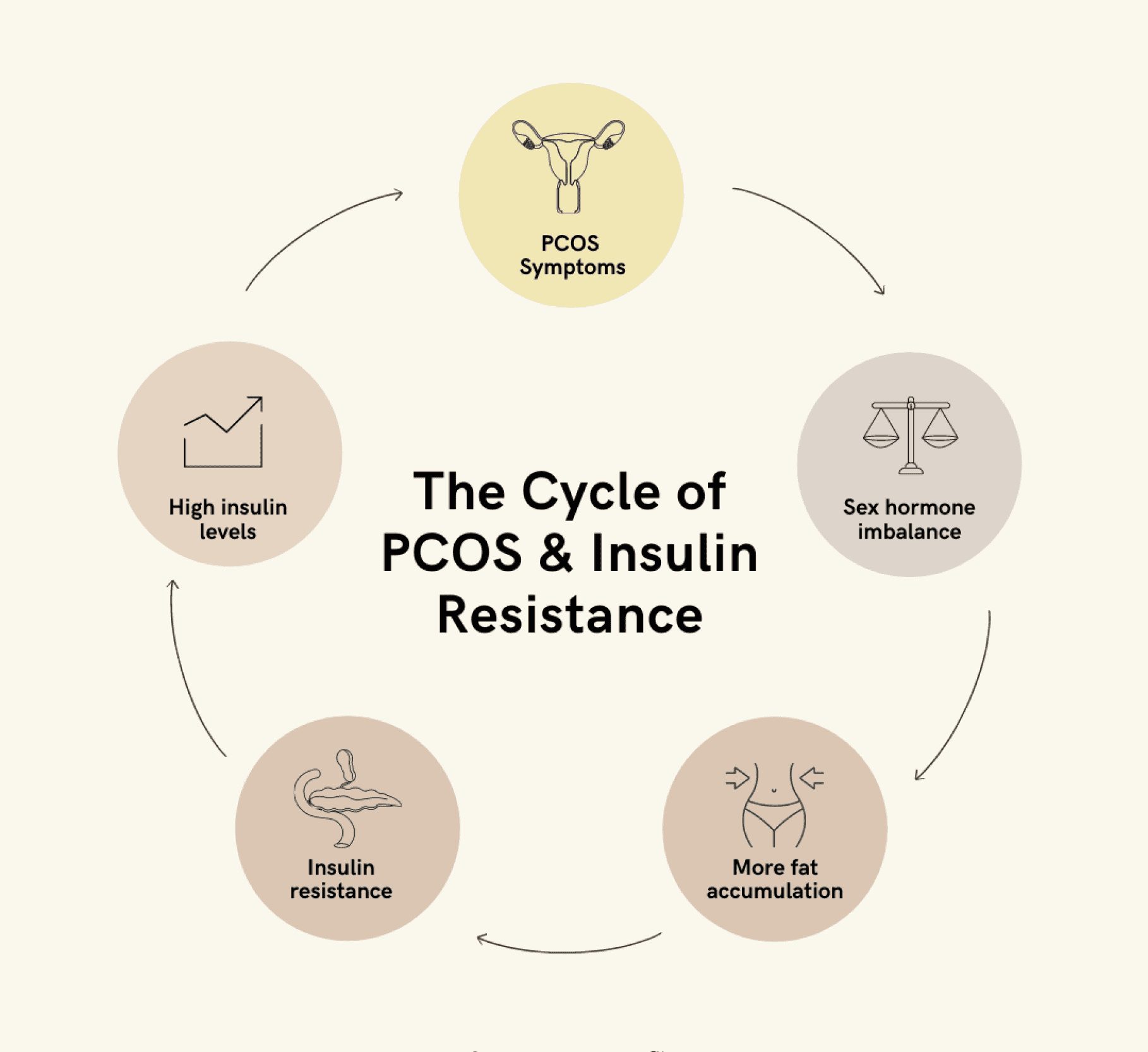 Cycle of PCOS and insulin resistance, showing the relationship between hormones, fat accumulation, and high insulin levels