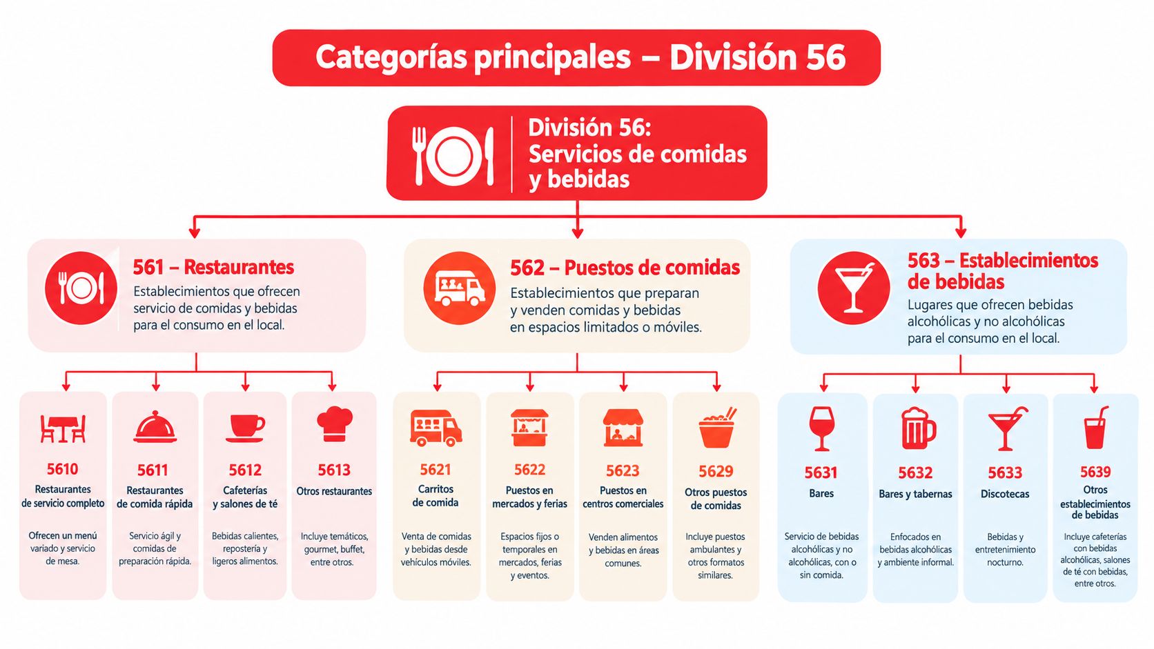 Organigrama que detalla la División 56 del CNAE sobre servicios de comida y bebida y sus subcategorías.