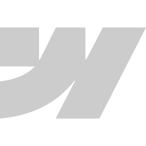 Webflow logo
