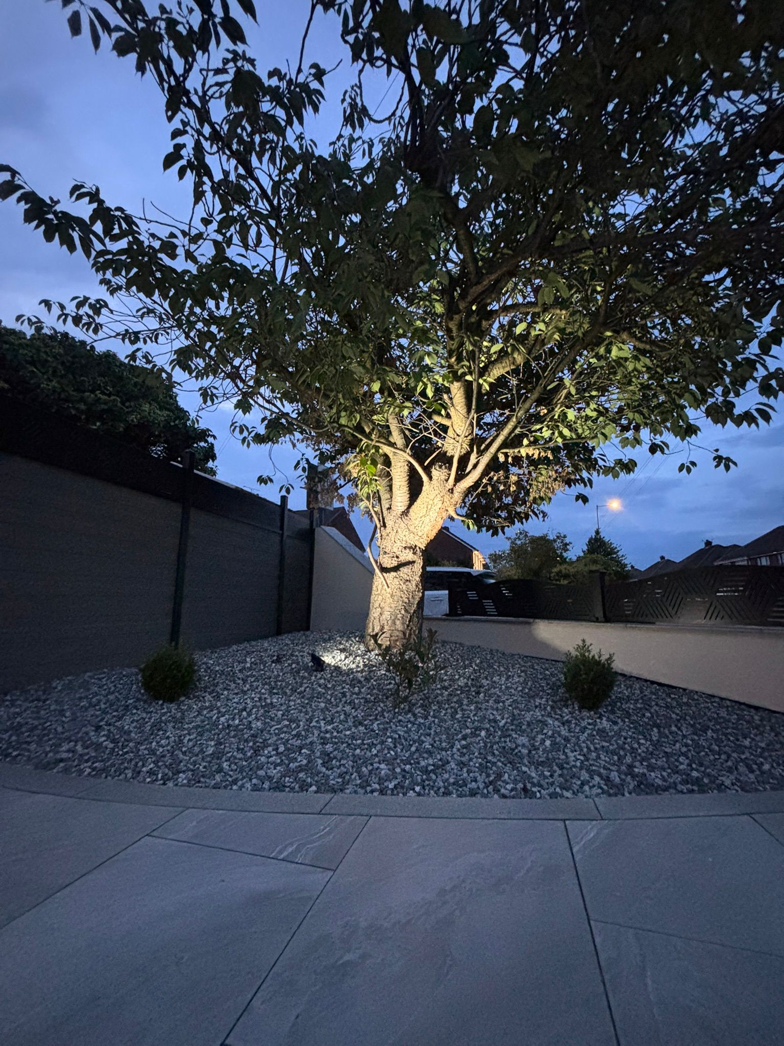 Aintree contemporary landscaping detail