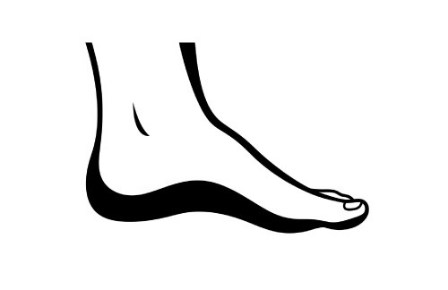 Side view of a foot vector graphic