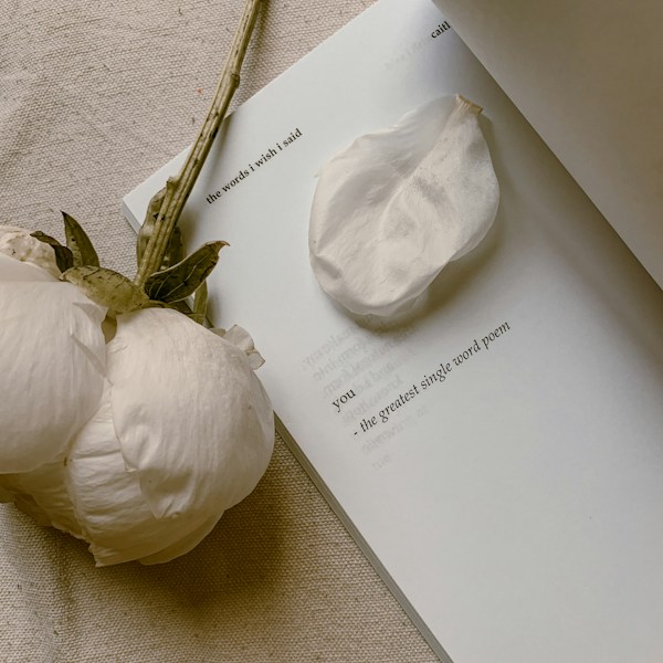 Soft white flowers resting on paper