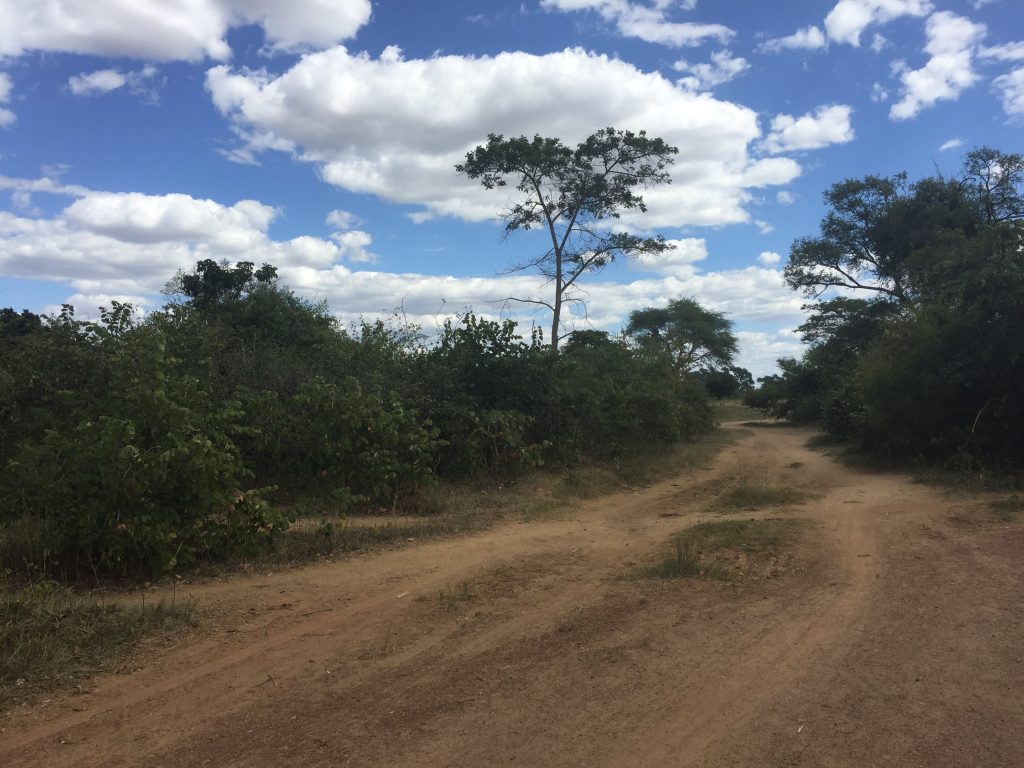 The site (on the left) of SRDA’s proposed new training apiary and honey processing plant