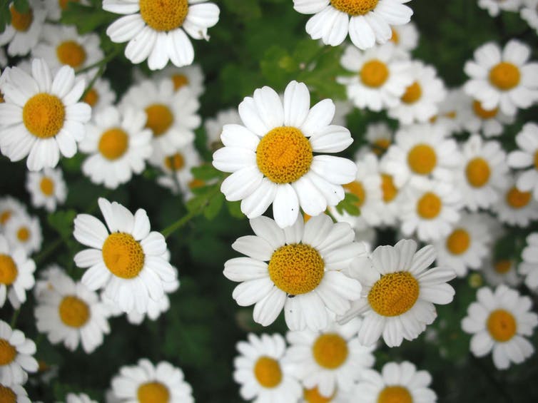  /></a><figcaption><span class=