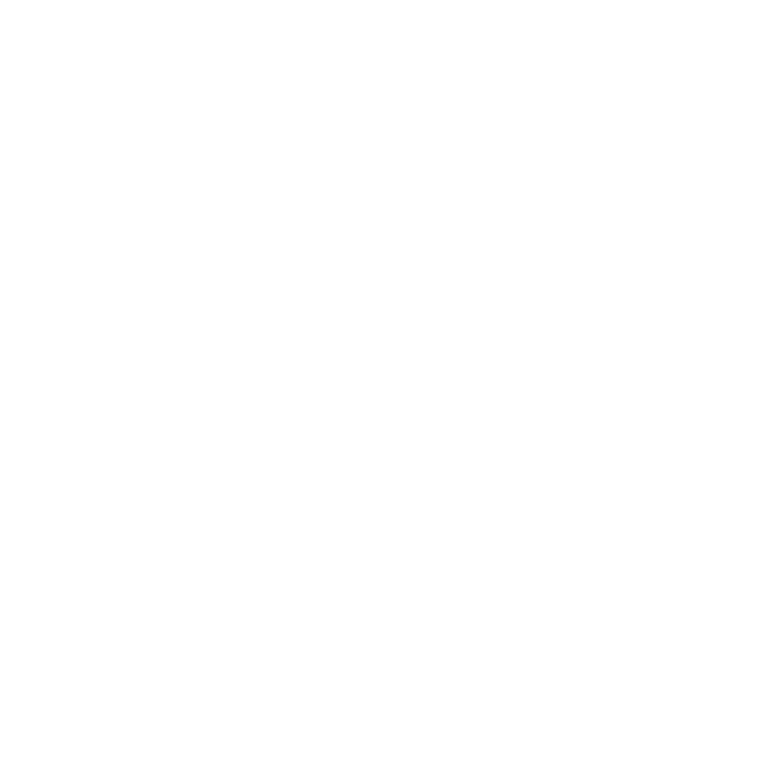 SD3 Large Model