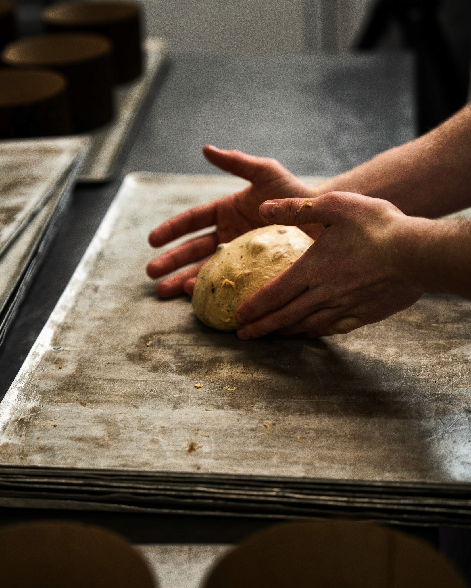 Fleur, Ortie, Photo de studio, Noir et blanc, pierretmae