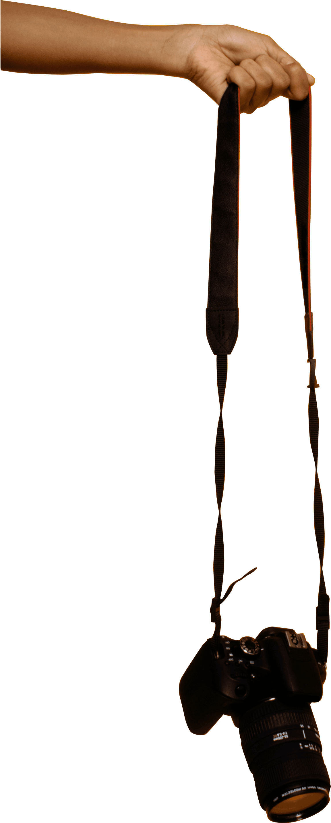 Visual representation of the Amazon Free Audit, providing sellers with a detailed analysis of their Amazon account for strategic improvements