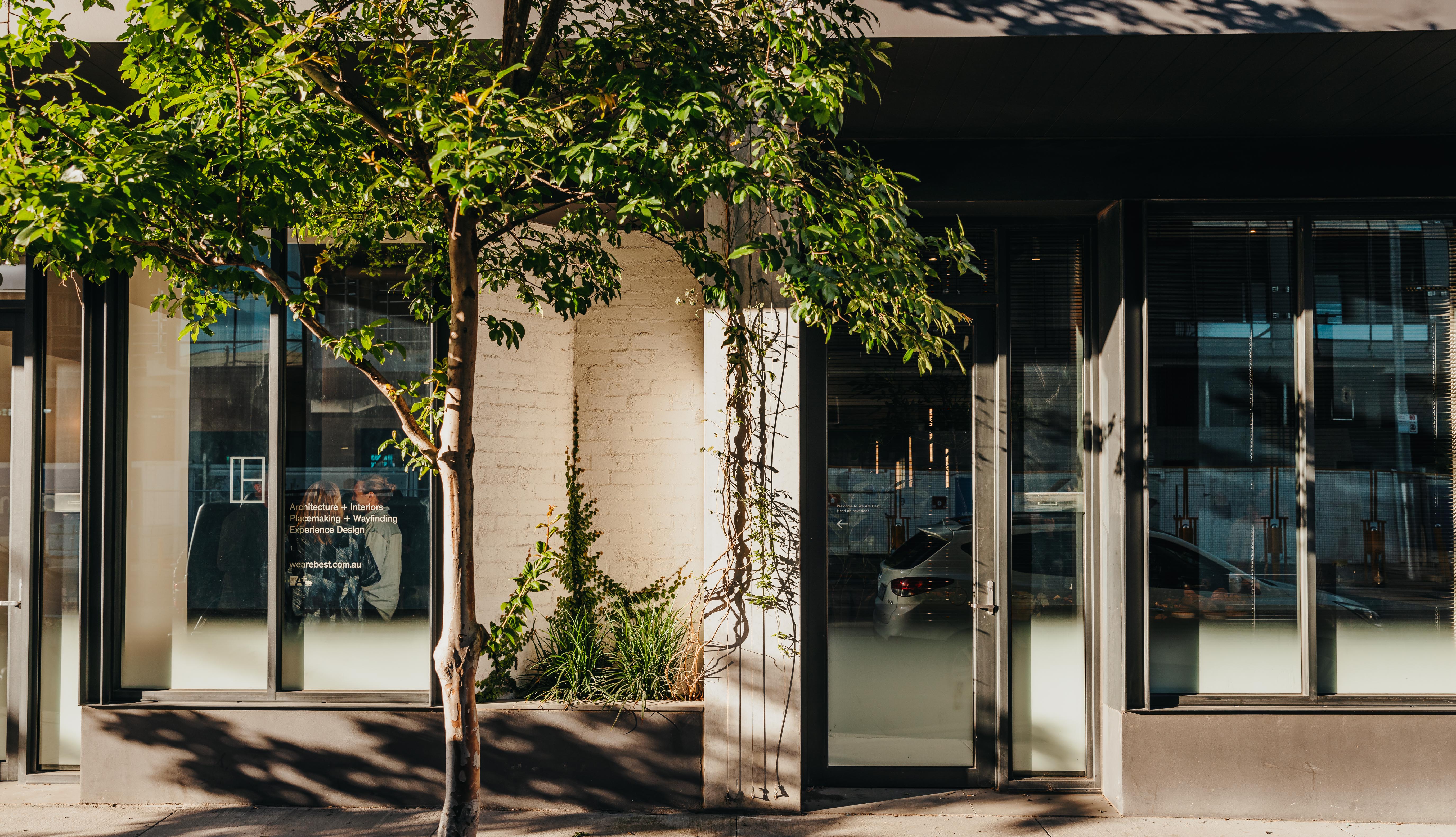 Jagged mountain peaks bathed in golden sunlight
