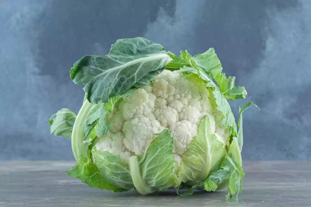 is cabbage good for diabetics