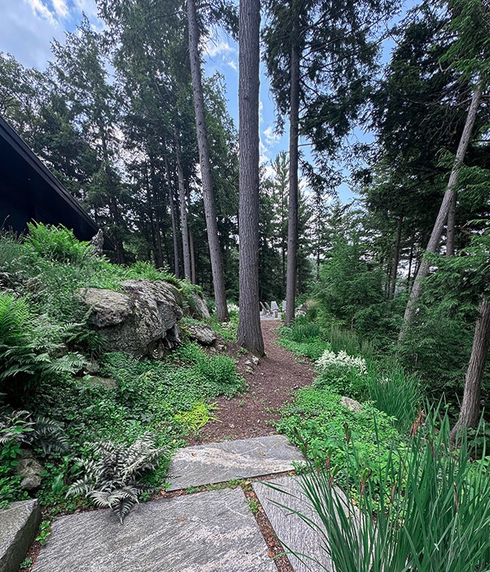 Pine tree lined mulch pathway through haliburton woods.