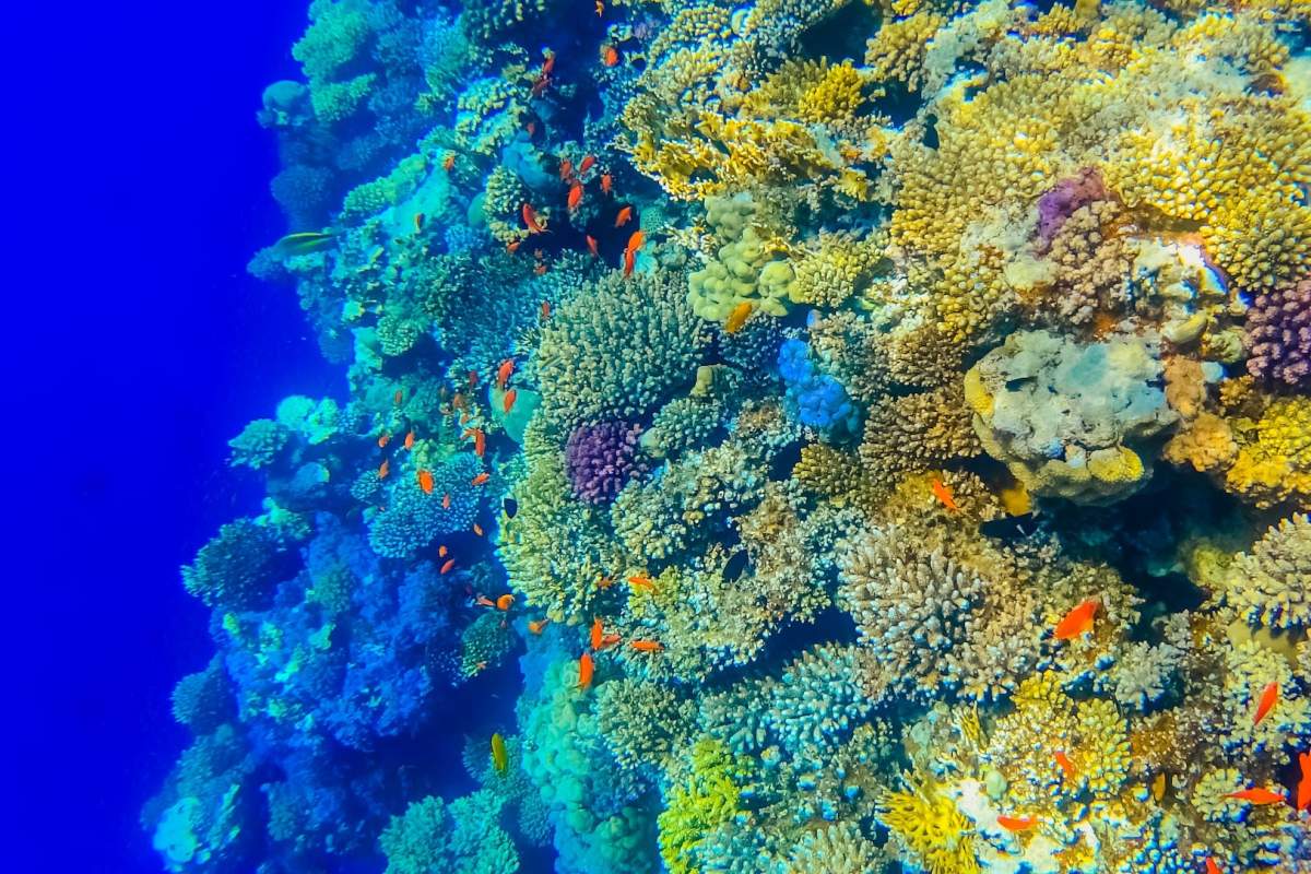 three brown wooden boat on blue lake water taken at daytime