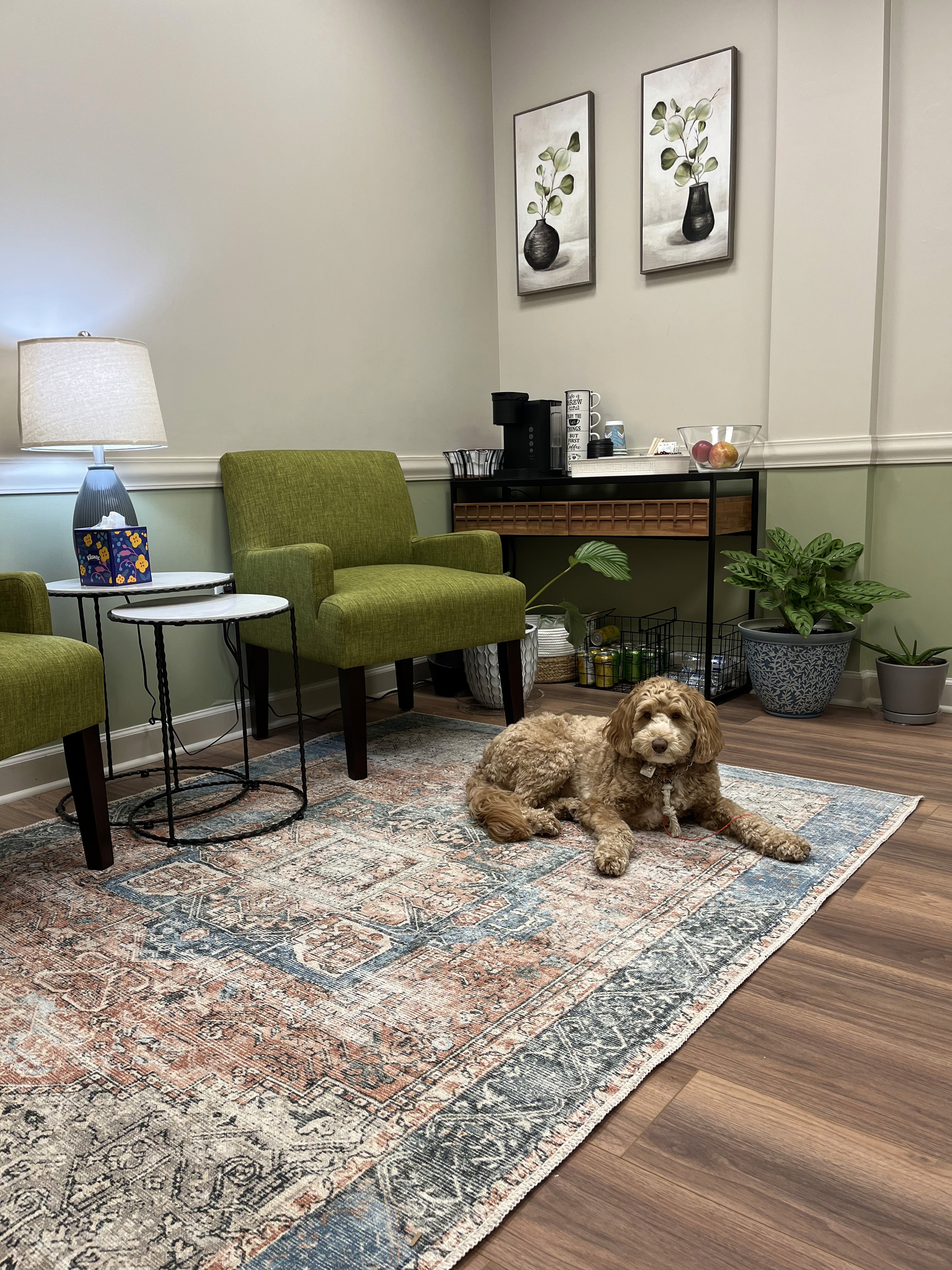 Waiting room view with a Goldendoodle dog laying on an area rug, green chairs, plants, & side table with lamp.