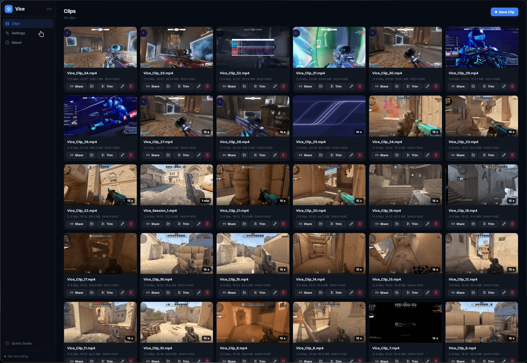 An image of the Clip Gallery section of Vice Clipper