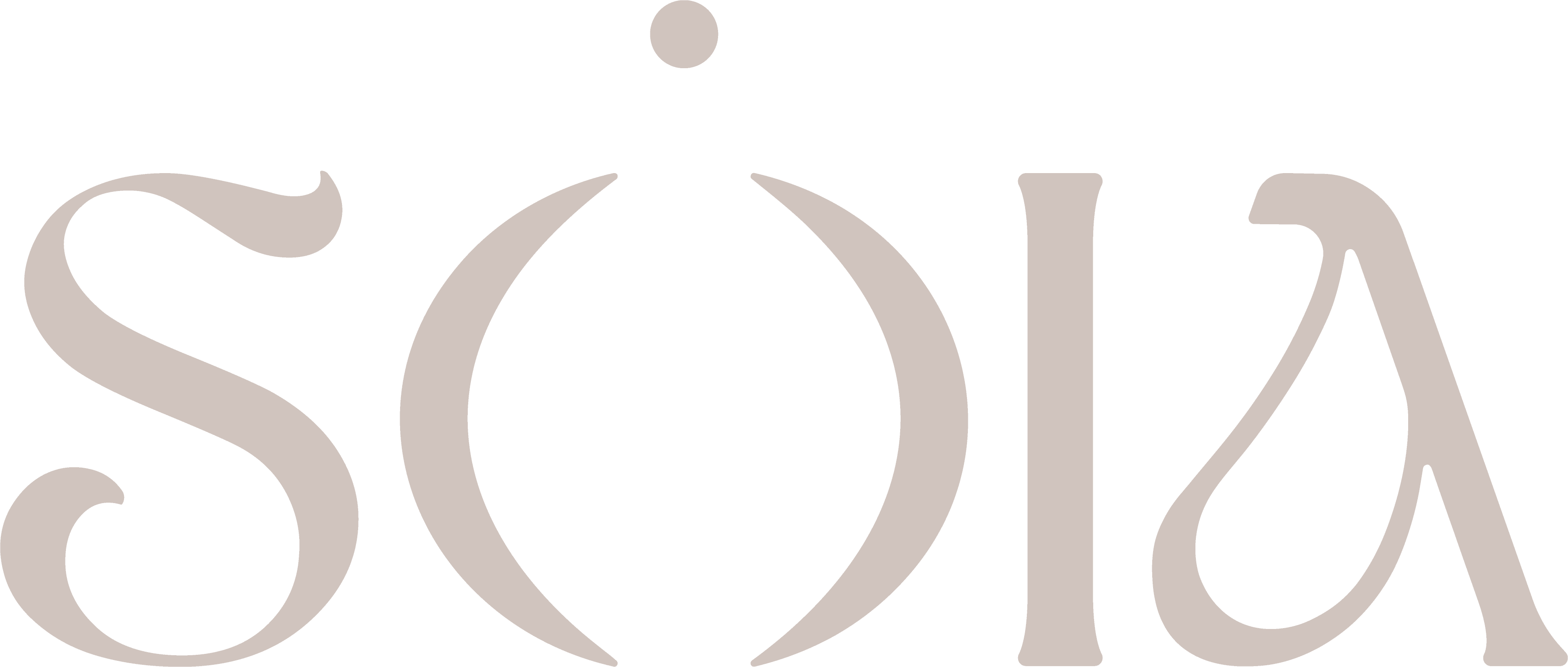 Client Logo