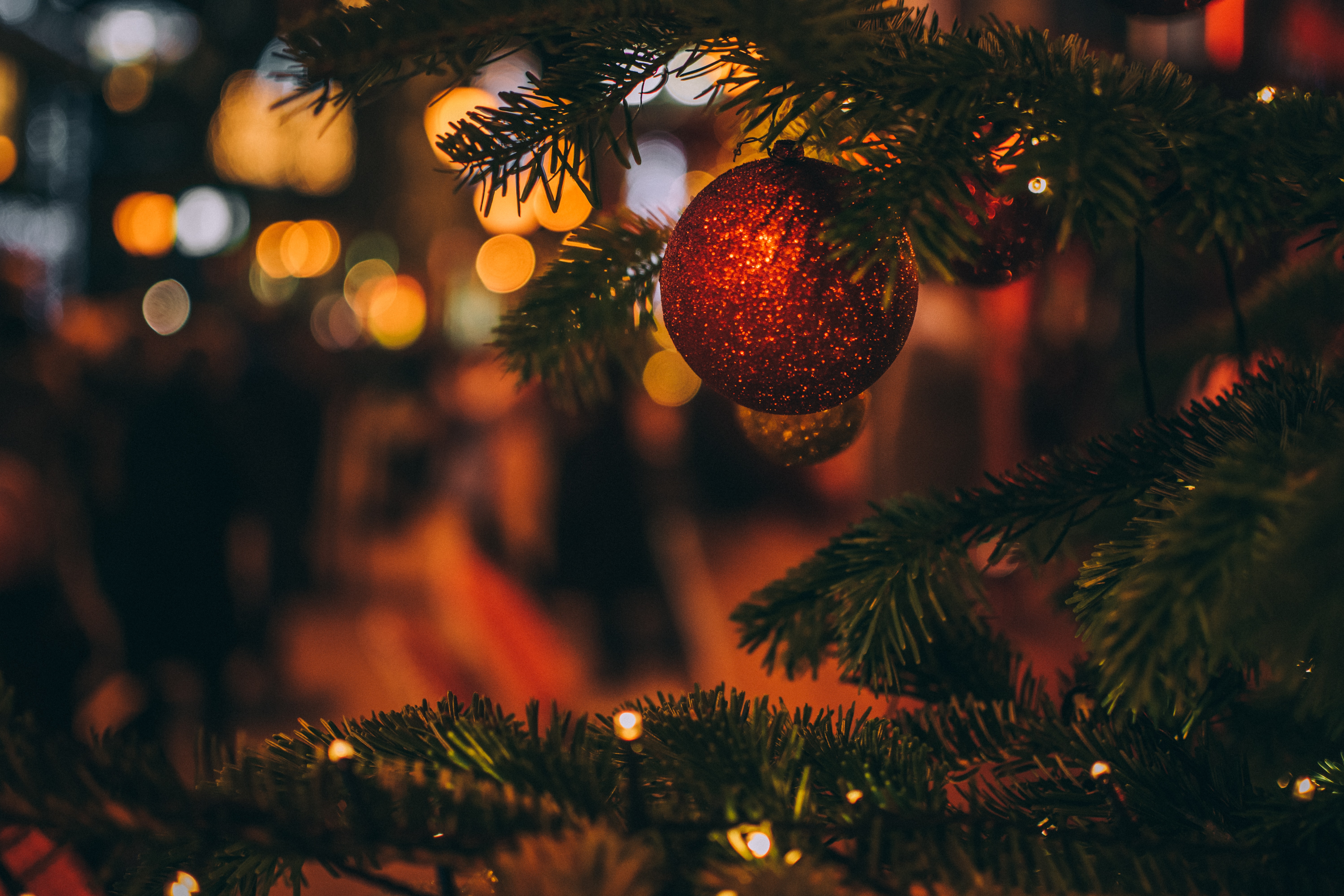 Close up of christmas tree