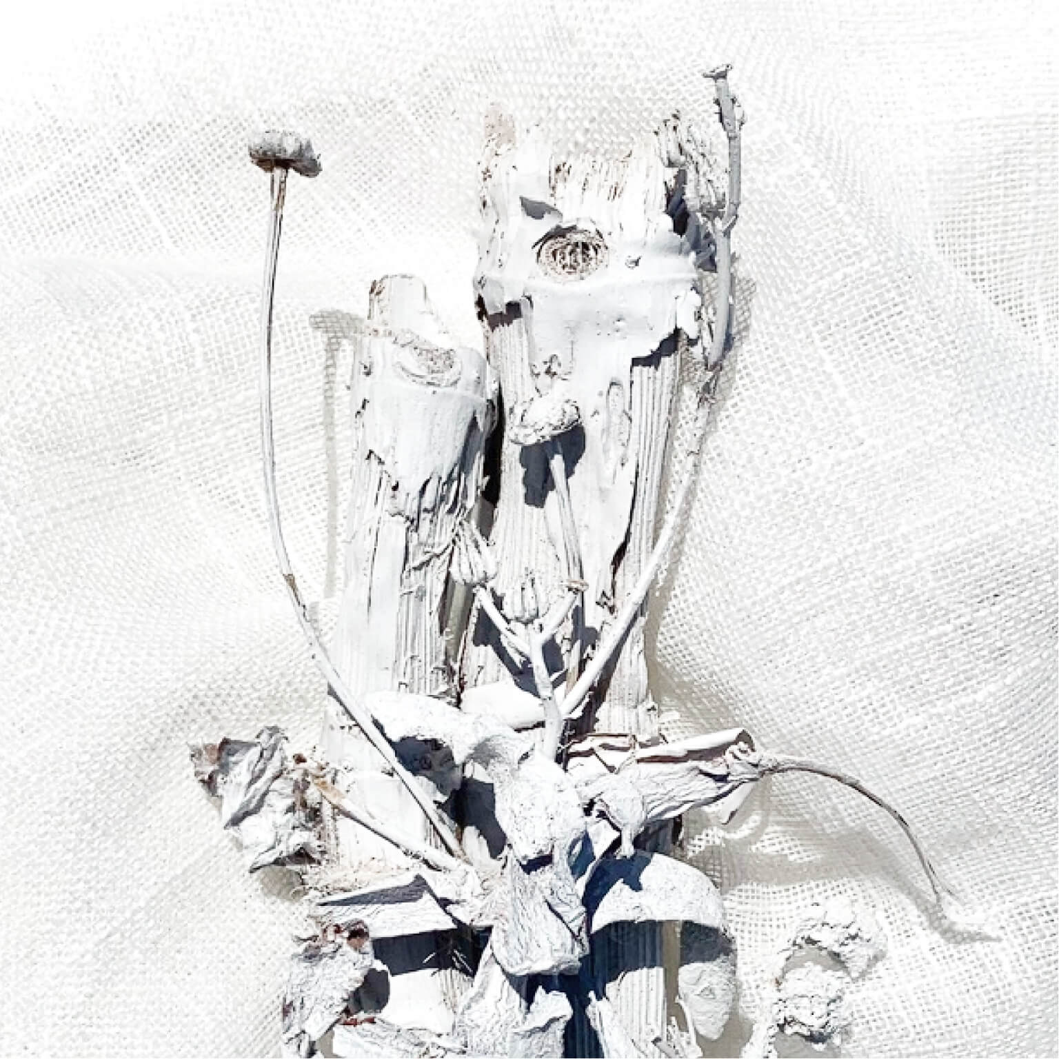 Minimal white dried flower arrangement with organic driftwood - purity meets imperfection