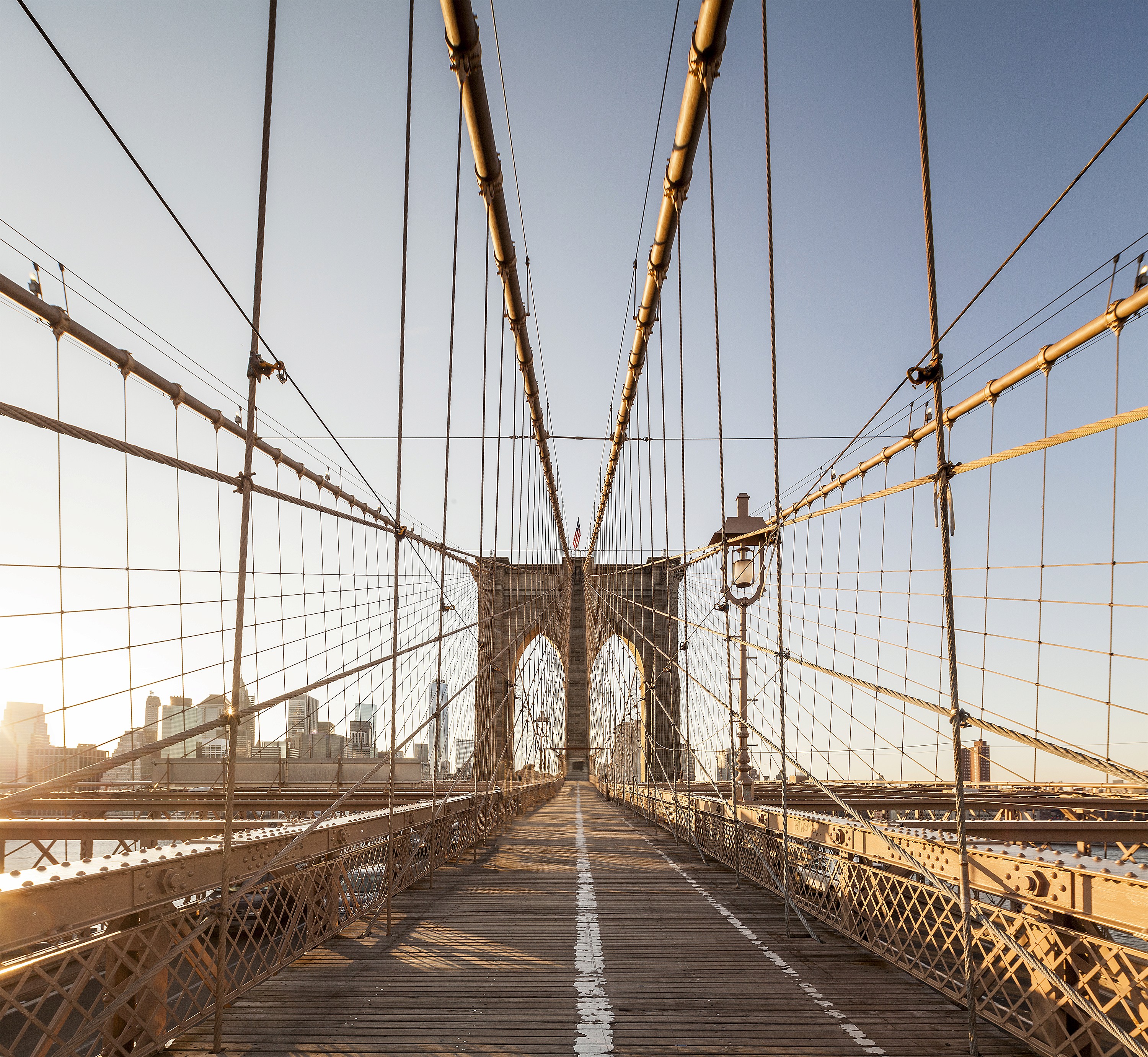 Sophia Reynolds feet