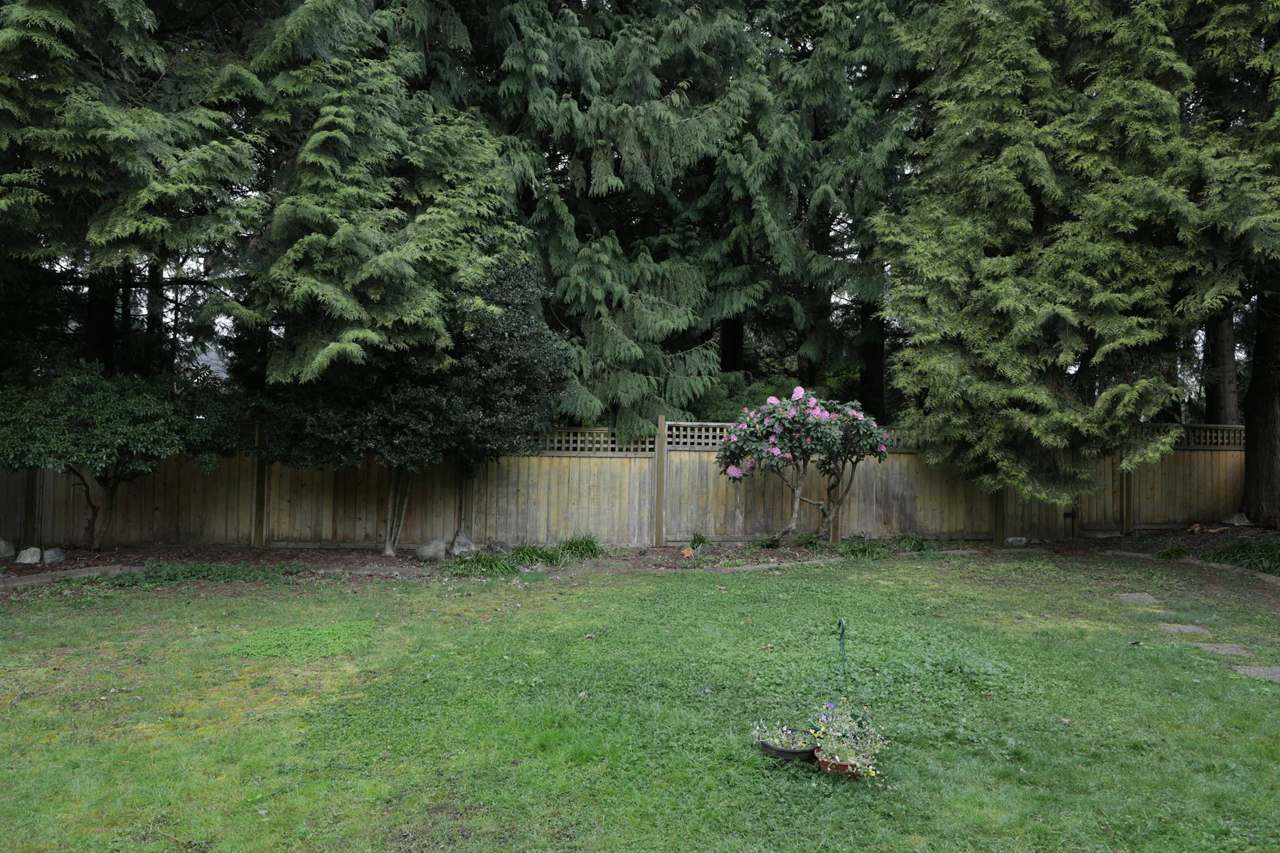 Wood privacy fence surrounding a residential backyard