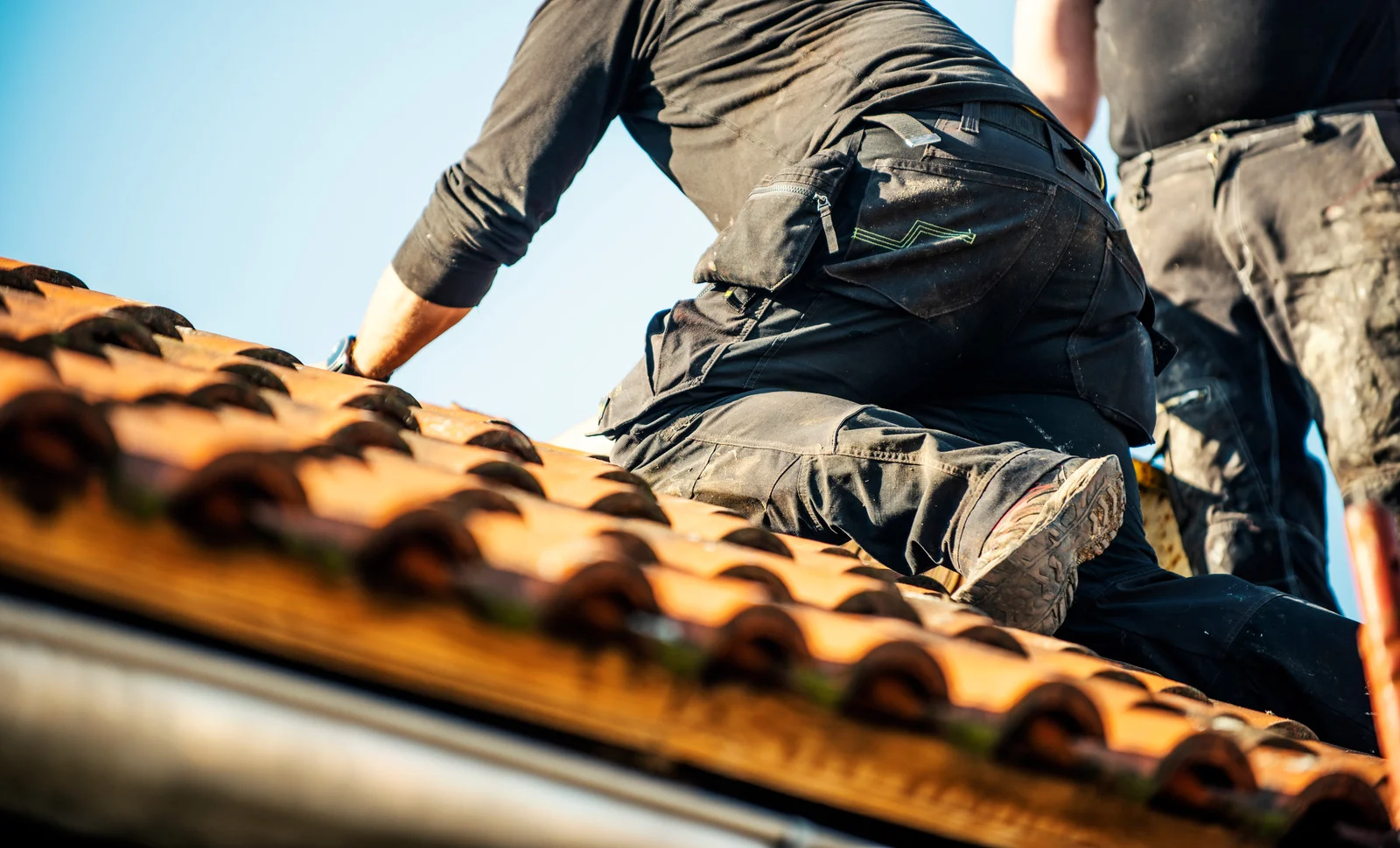 Feedback & Refinement