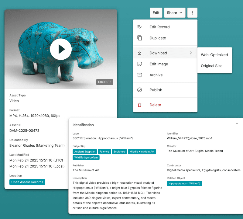 Digital asset records inside Terentia's digital asset management system (DAMS).