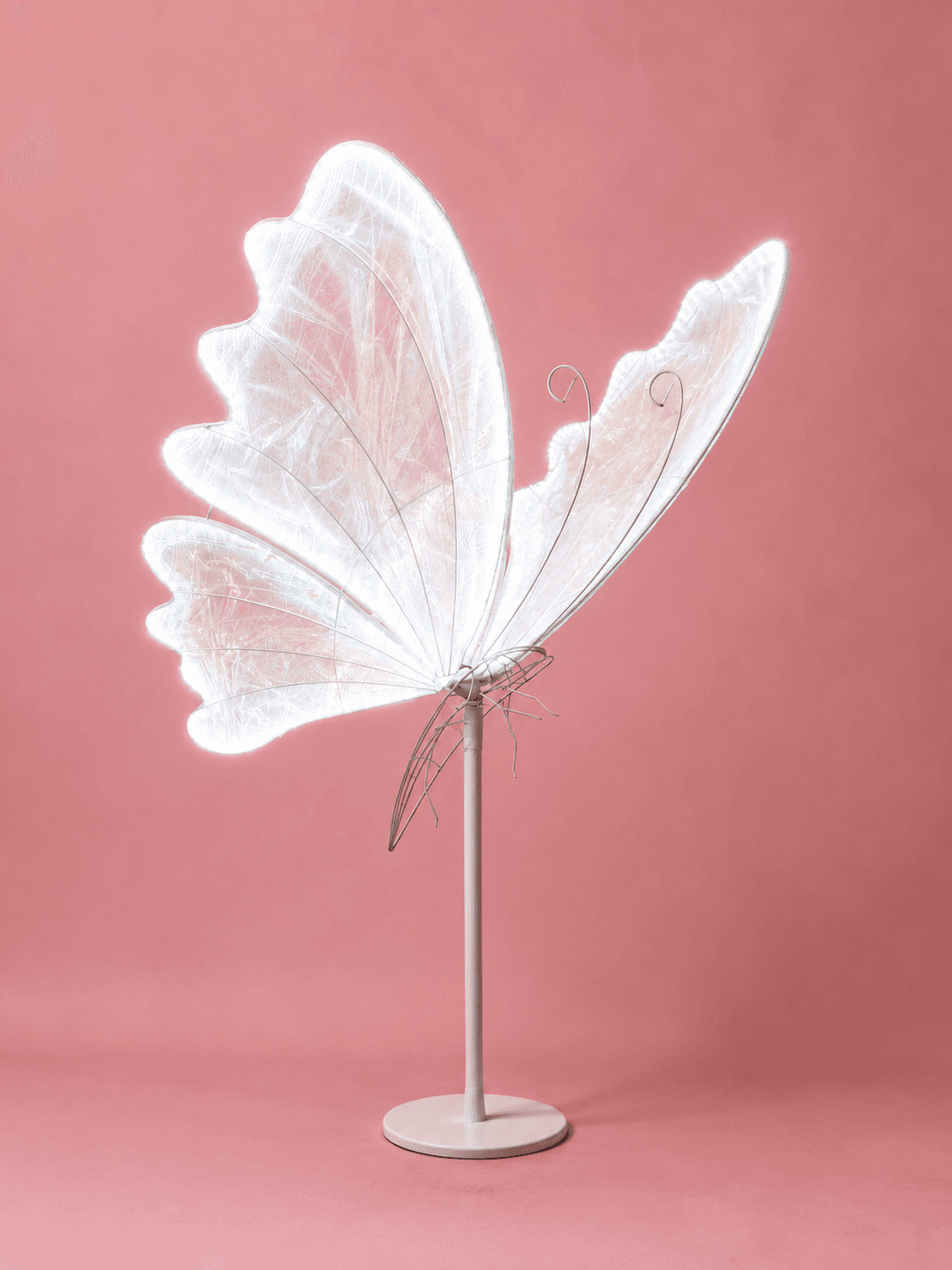 Butterfly Sign