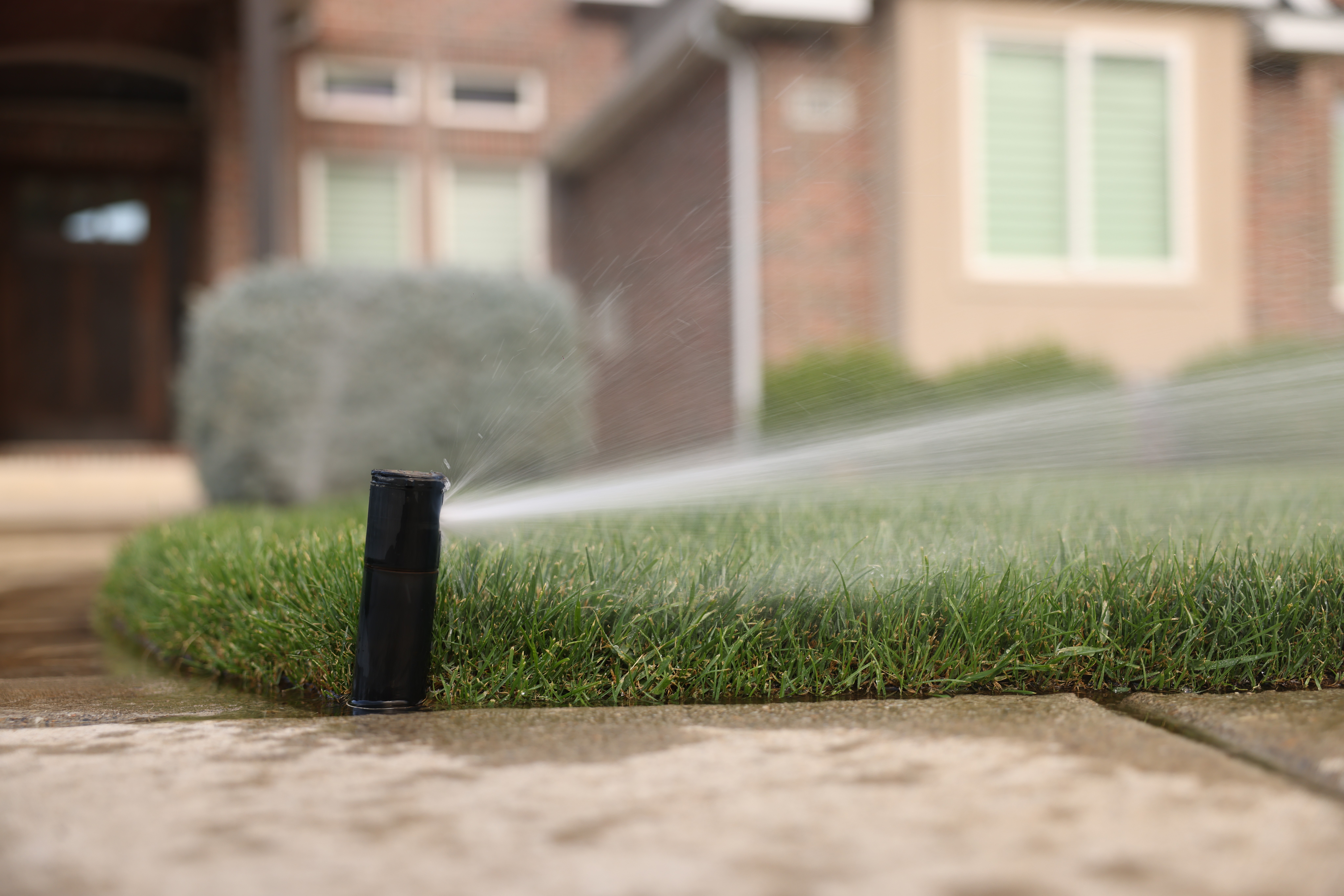 Automatic sprinklers watering Ogden garden