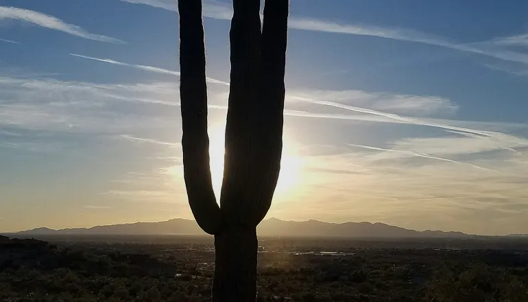 Arizona desert with cactuses and mountains